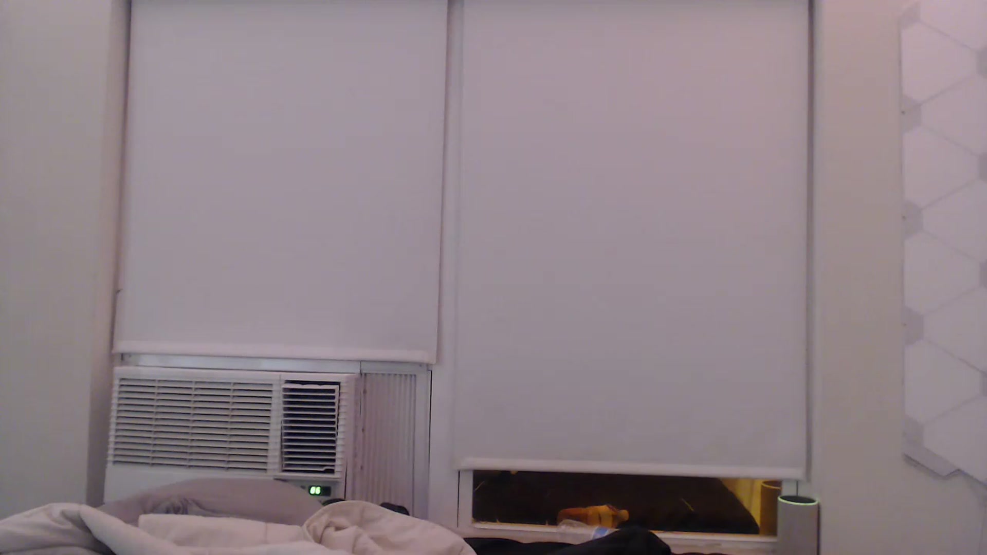 Gallery image thumbnail from LibbyxDoe's myfreecams stream on, 12/24/2022, 24:09 image 17 of 20