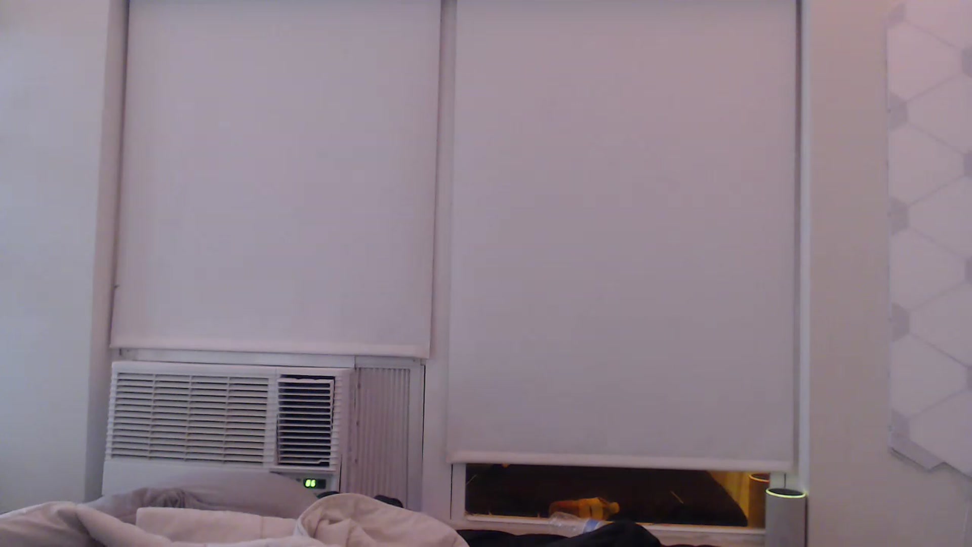 Gallery image thumbnail from LibbyxDoe's myfreecams stream on, 12/24/2022, 24:09 image 16 of 20