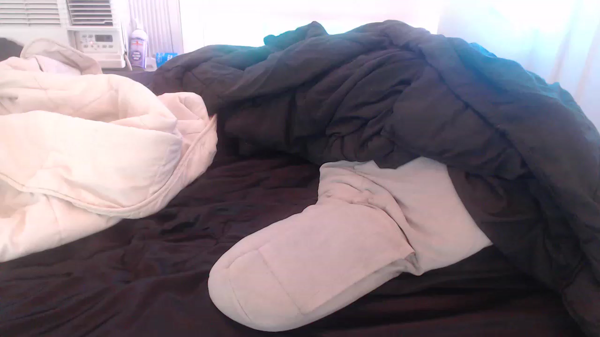 Gallery image thumbnail from LibbyxDoe's myfreecams stream on, 01/01/2023, 17:21 image 17 of 20