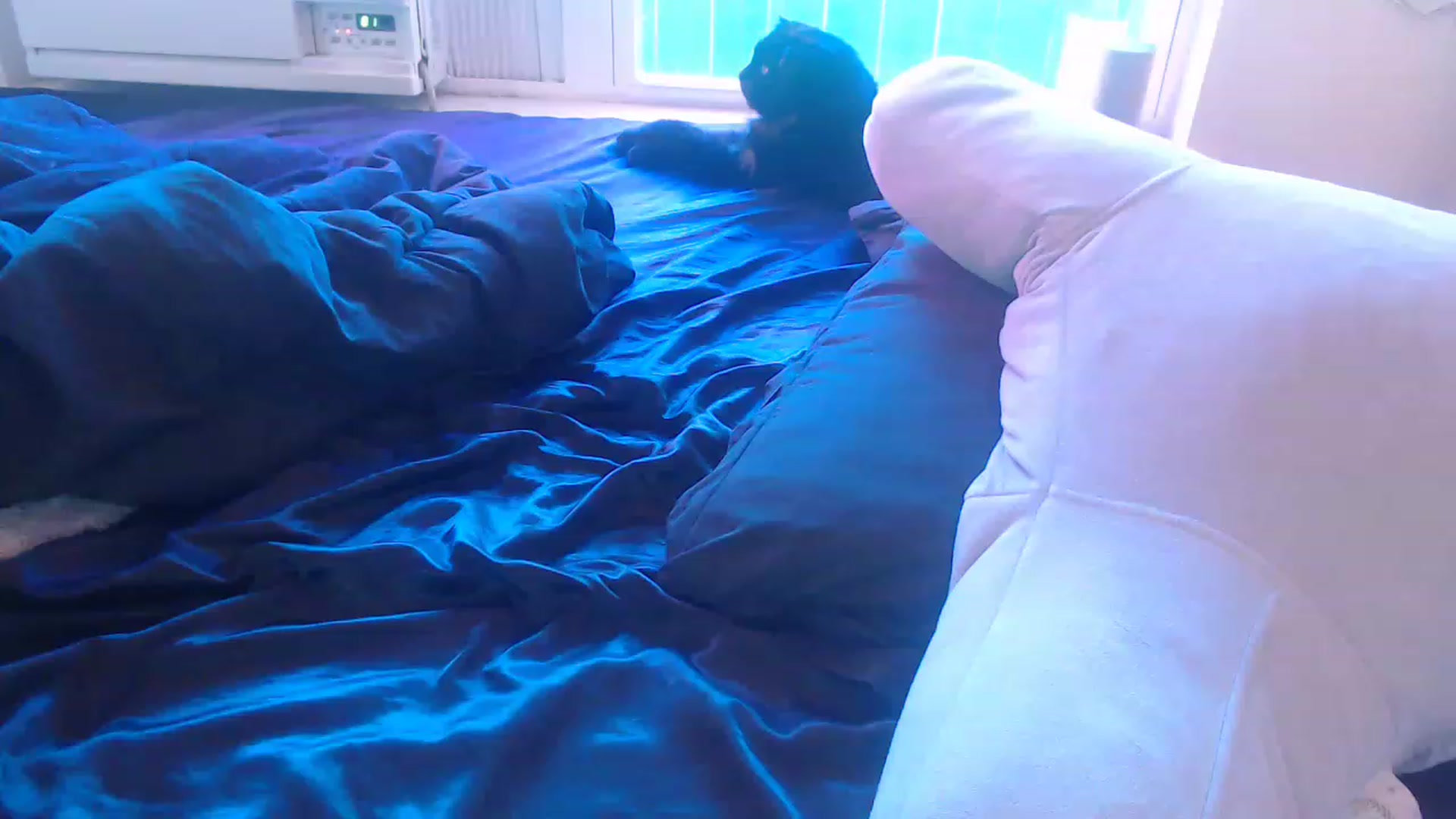 Gallery image thumbnail from LibbyxDoe's myfreecams stream on, 01/26/2023, 16:12 image 9 of 20