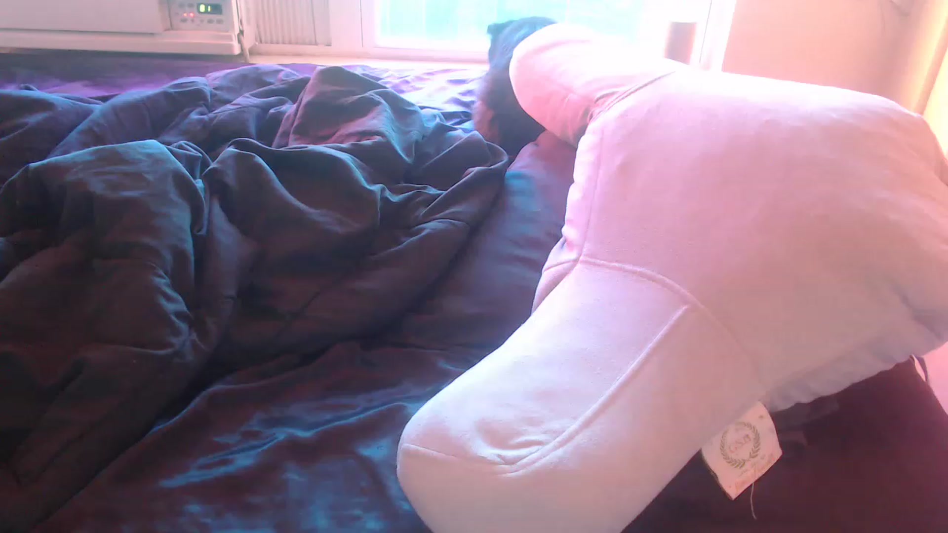 Gallery image thumbnail from LibbyxDoe's myfreecams stream on, 01/26/2023, 16:12 image 4 of 20