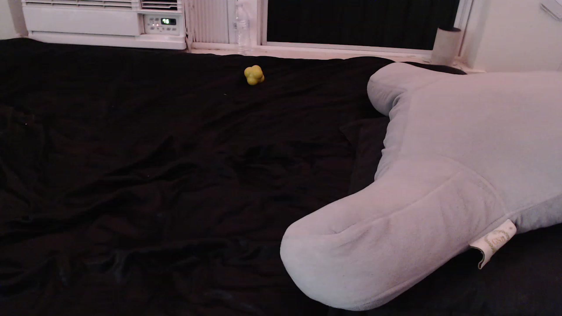 Gallery image thumbnail from LibbyxDoe's myfreecams stream on, 01/29/2023, 10:23 image 14 of 20