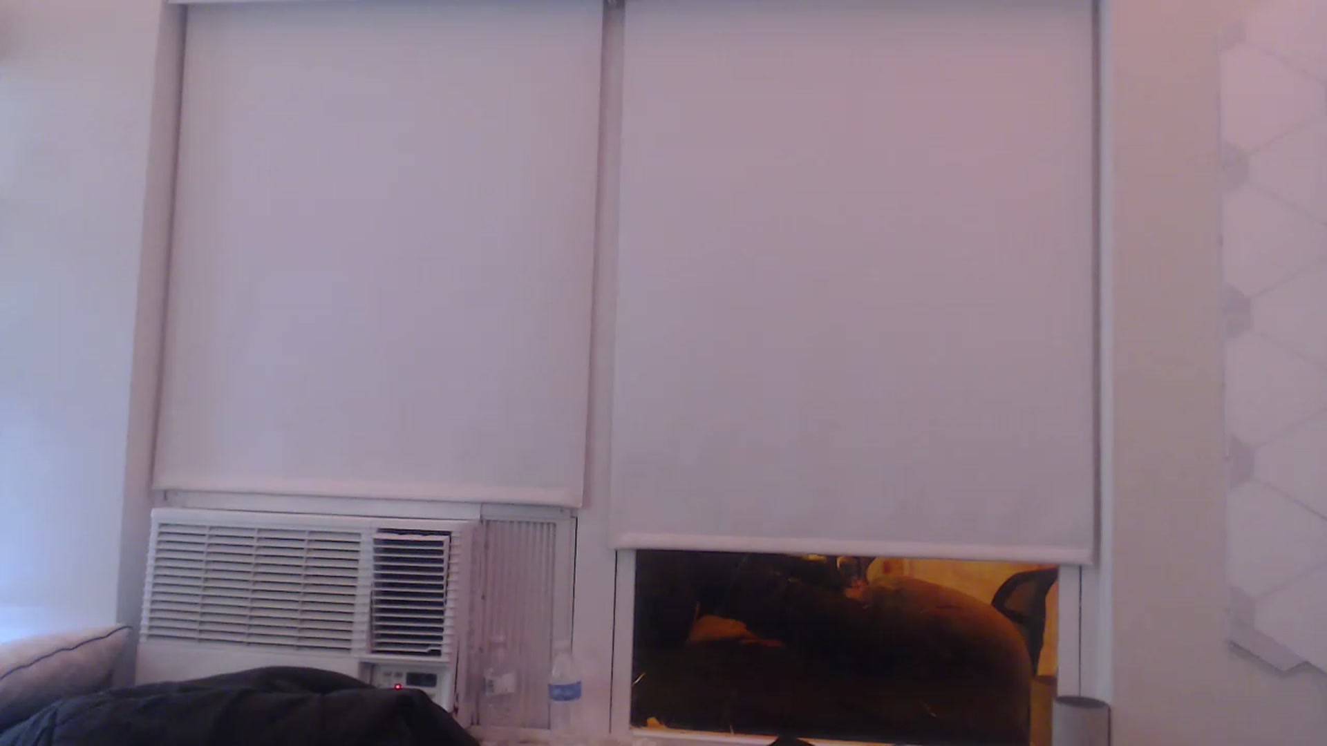 Gallery image thumbnail from LibbyxDoe's myfreecams stream on, 02/02/2023, 06:32 image 3 of 20