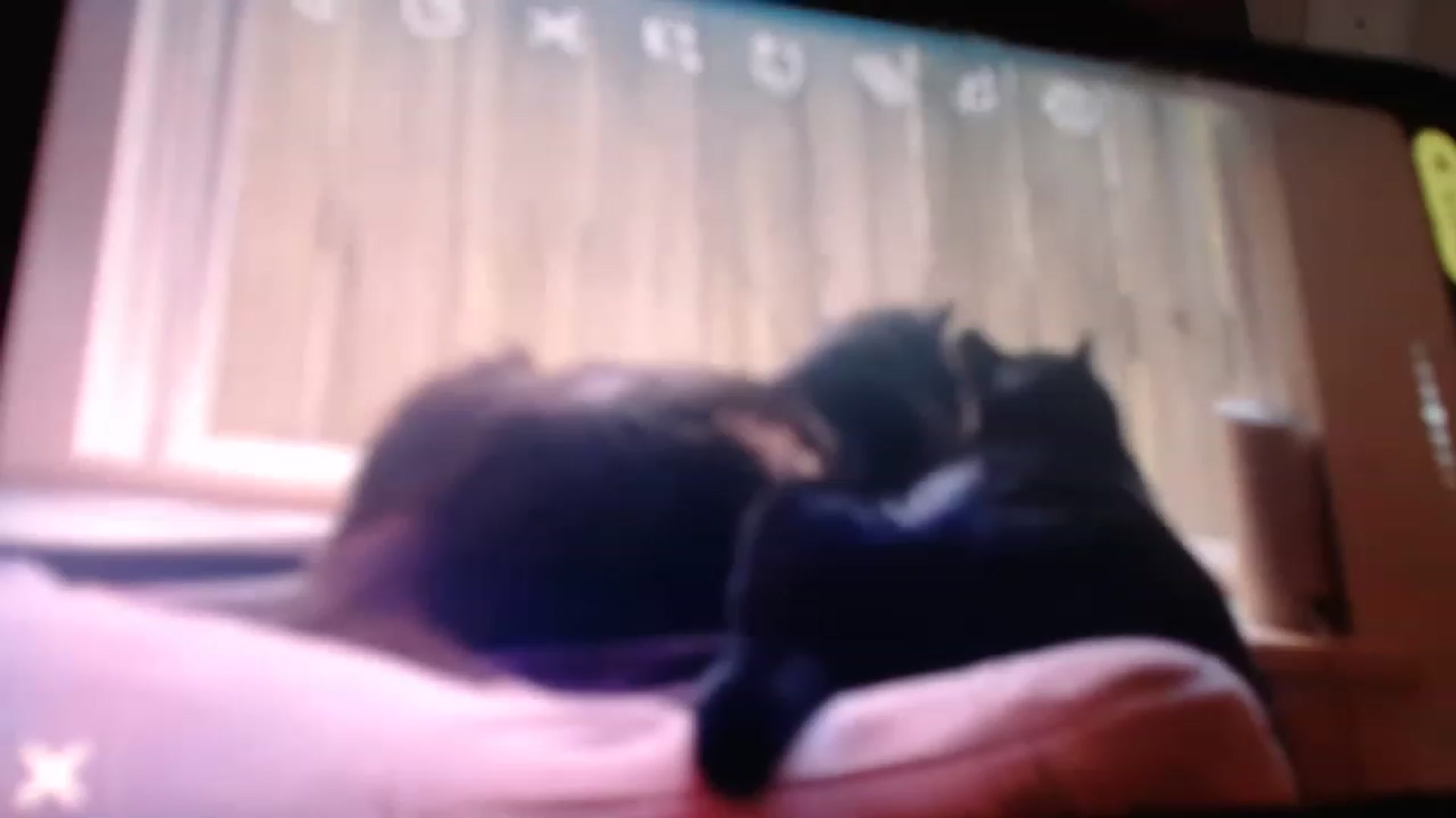 Gallery image thumbnail from LibbyxDoe's myfreecams stream on, 02/05/2023, 13:54 image 12 of 20