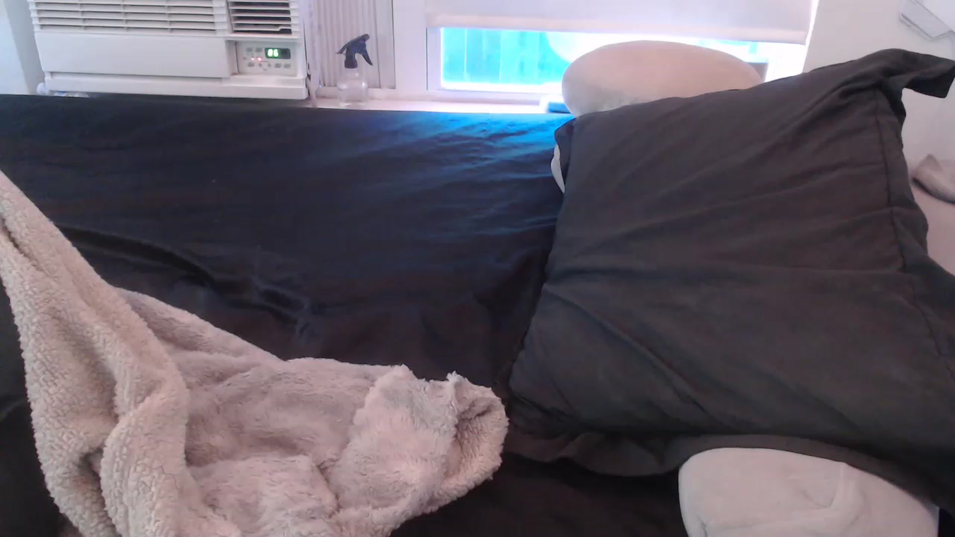 Gallery image thumbnail from LibbyxDoe's myfreecams stream on, 02/18/2023, 13:59 image 3 of 20