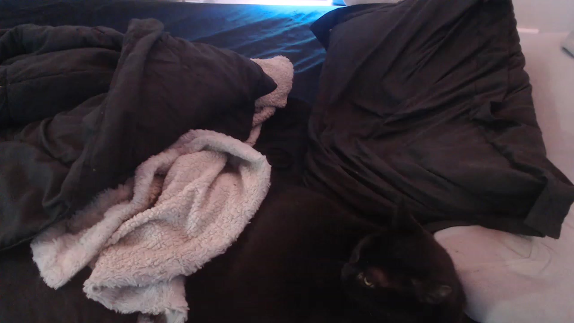 Gallery image thumbnail from LibbyxDoe's myfreecams stream on, 02/18/2023, 13:59 image 11 of 20