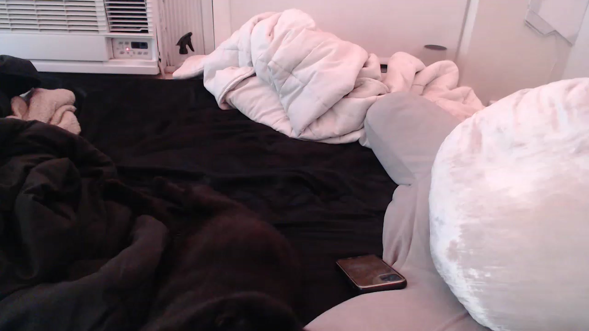 Gallery image thumbnail from LibbyxDoe's myfreecams stream on, 02/20/2023, 14:32 image 7 of 20