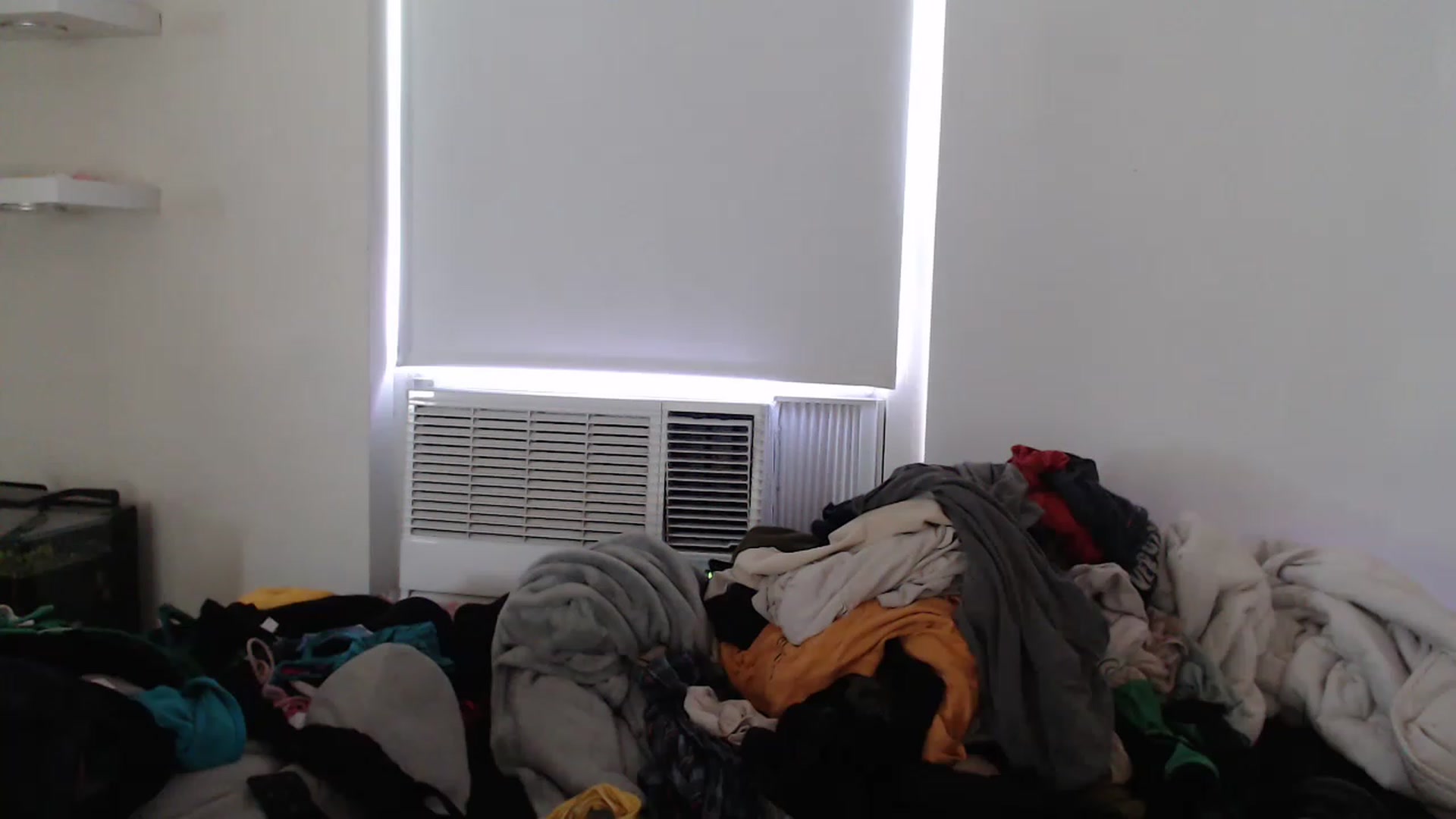 Gallery image thumbnail from LibbyxDoe's myfreecams stream on, 03/03/2023, 19:46 image 17 of 20