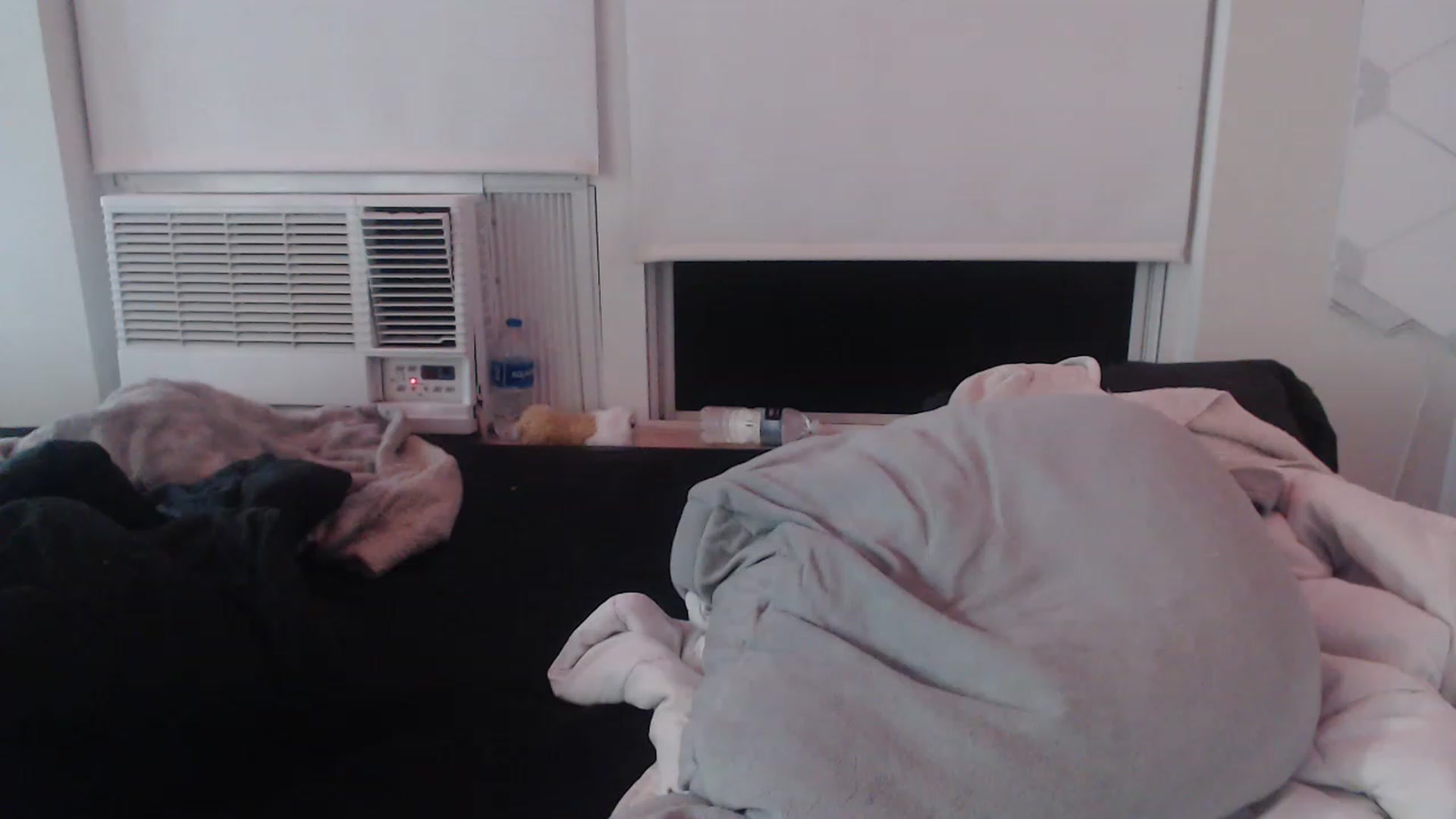Gallery image thumbnail from LibbyxDoe's myfreecams stream on, 03/13/2023, 07:12 image 1 of 20