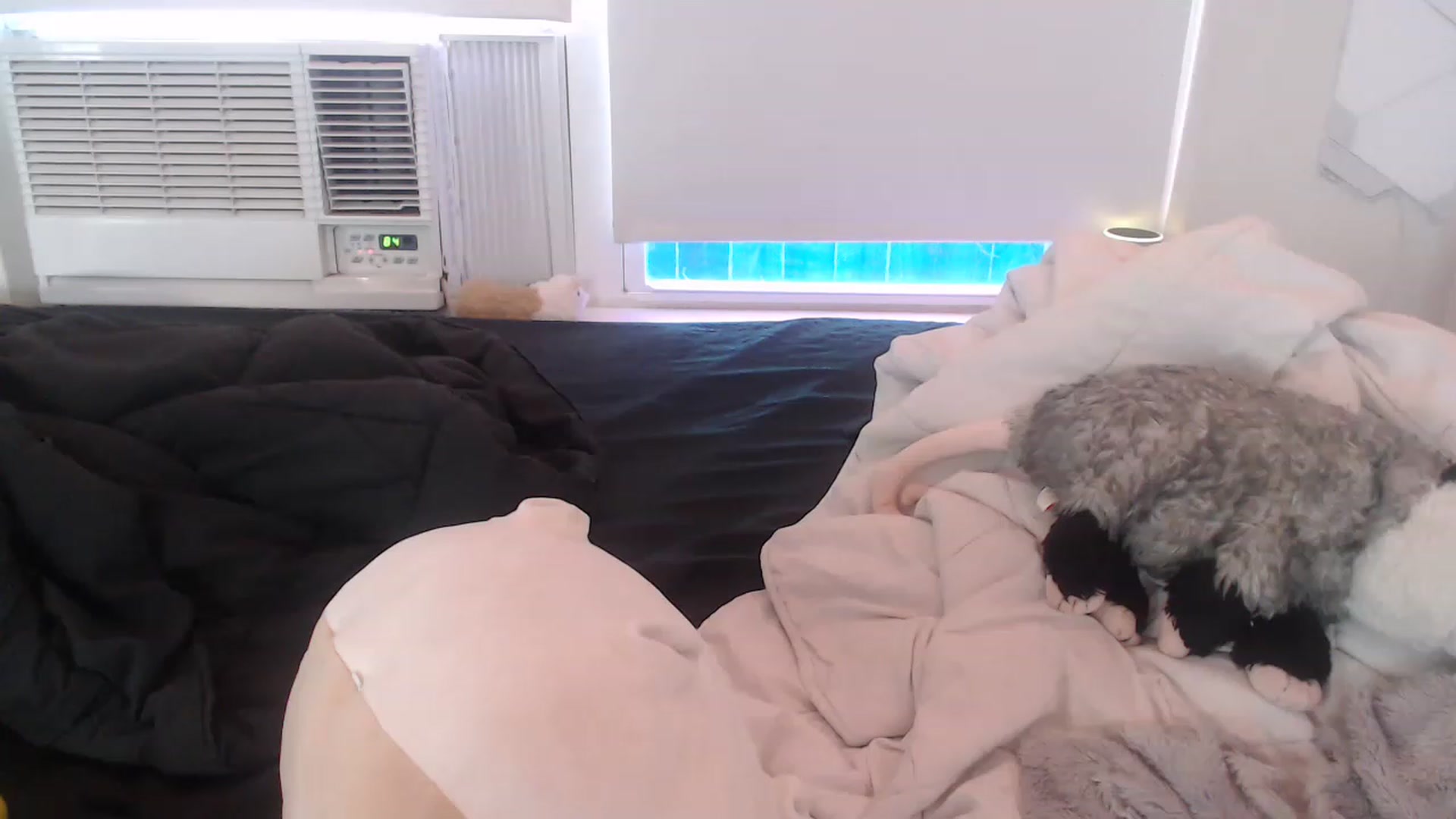 Gallery image thumbnail from LibbyxDoe's myfreecams stream on, 03/15/2023, 14:29 image 19 of 20