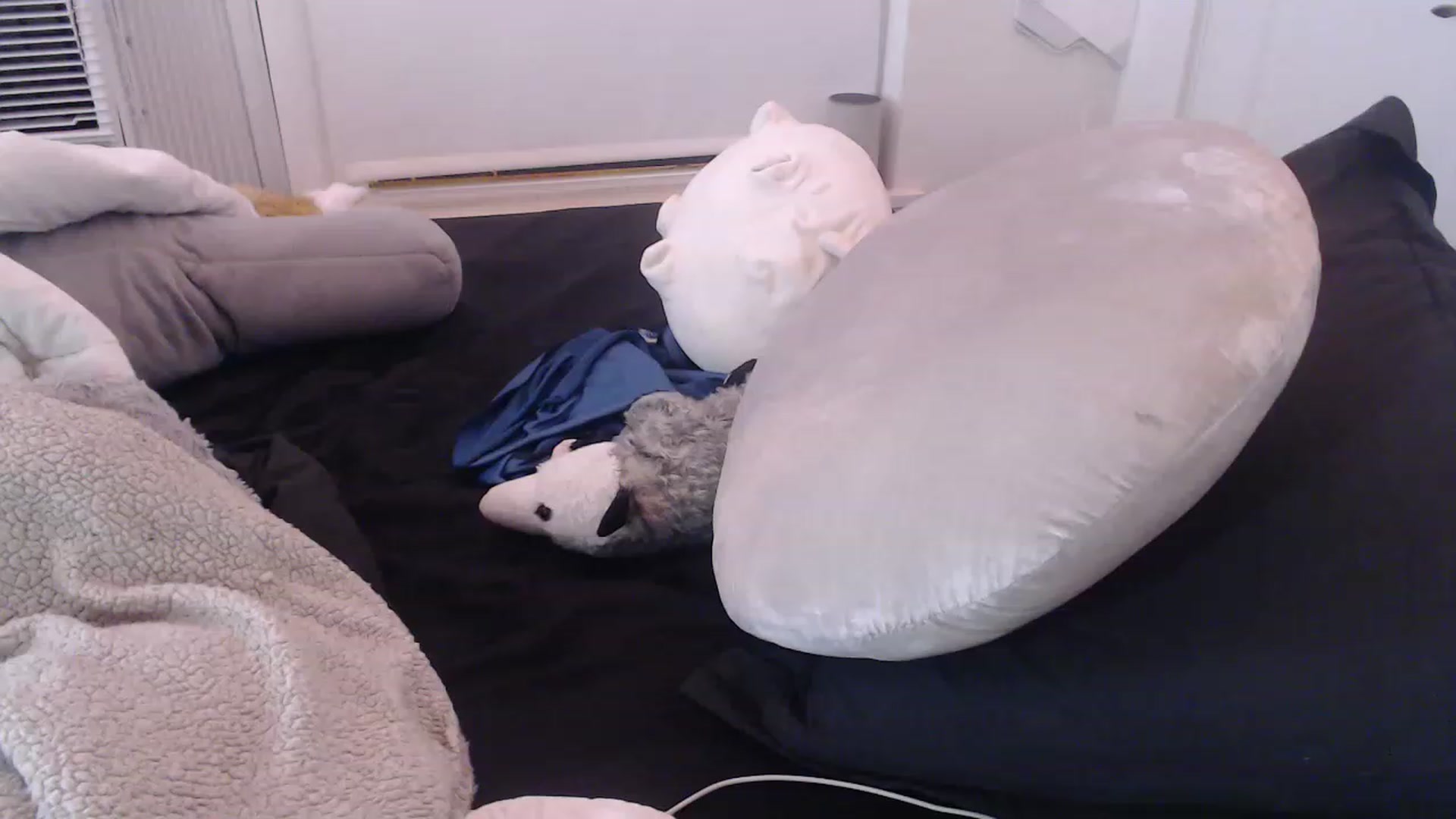 Gallery image thumbnail from LibbyxDoe's myfreecams stream on, 03/16/2023, 12:24 image 2 of 20