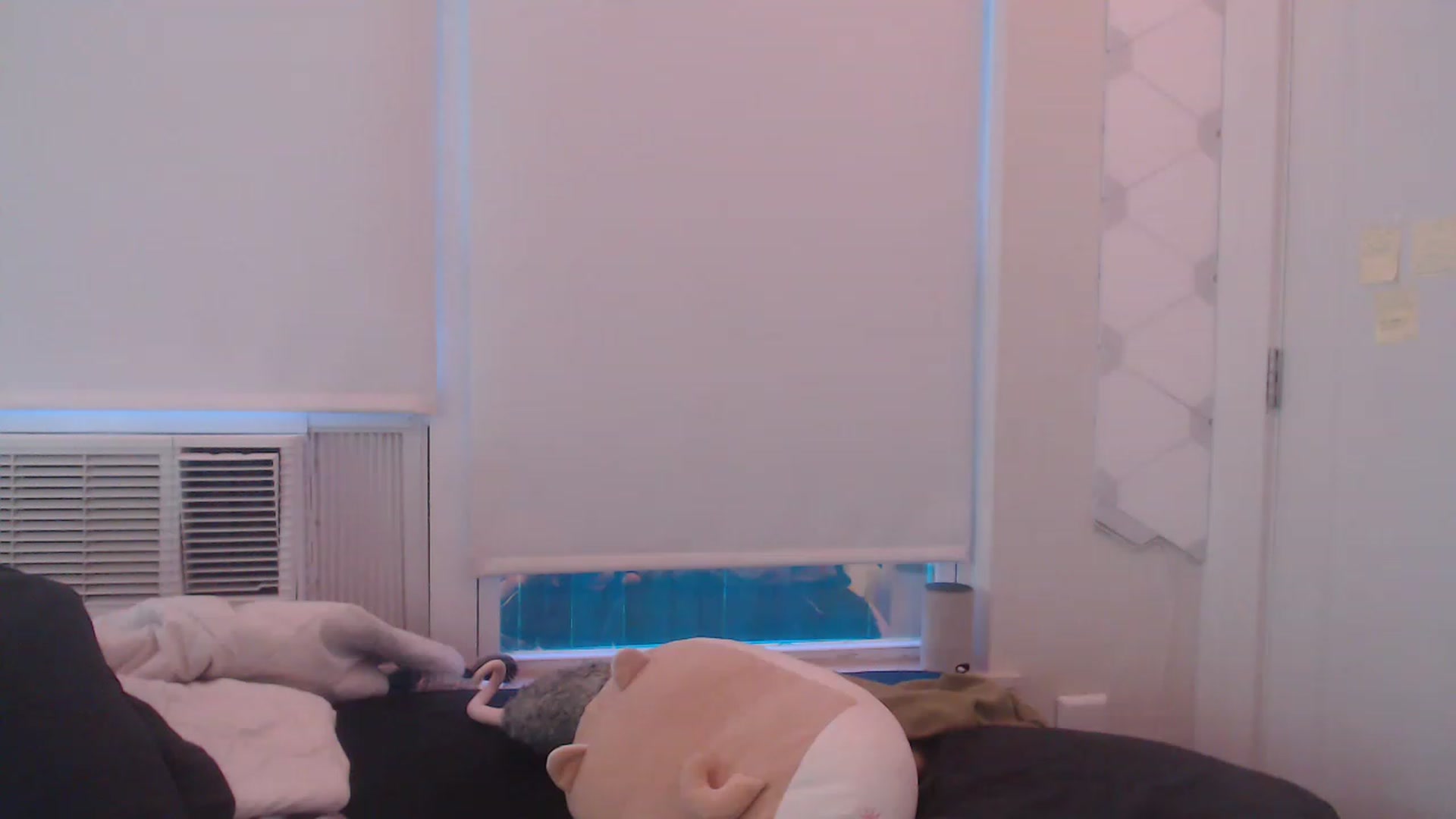 Gallery image thumbnail from LibbyxDoe's myfreecams stream on, 03/19/2023, 12:34 image 19 of 20