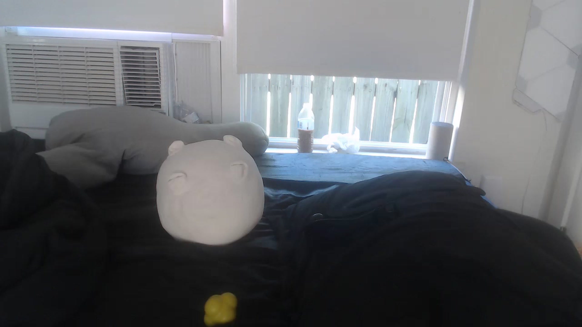 Gallery image thumbnail from LibbyxDoe's myfreecams stream on, 03/21/2023, 16:45 image 20 of 20