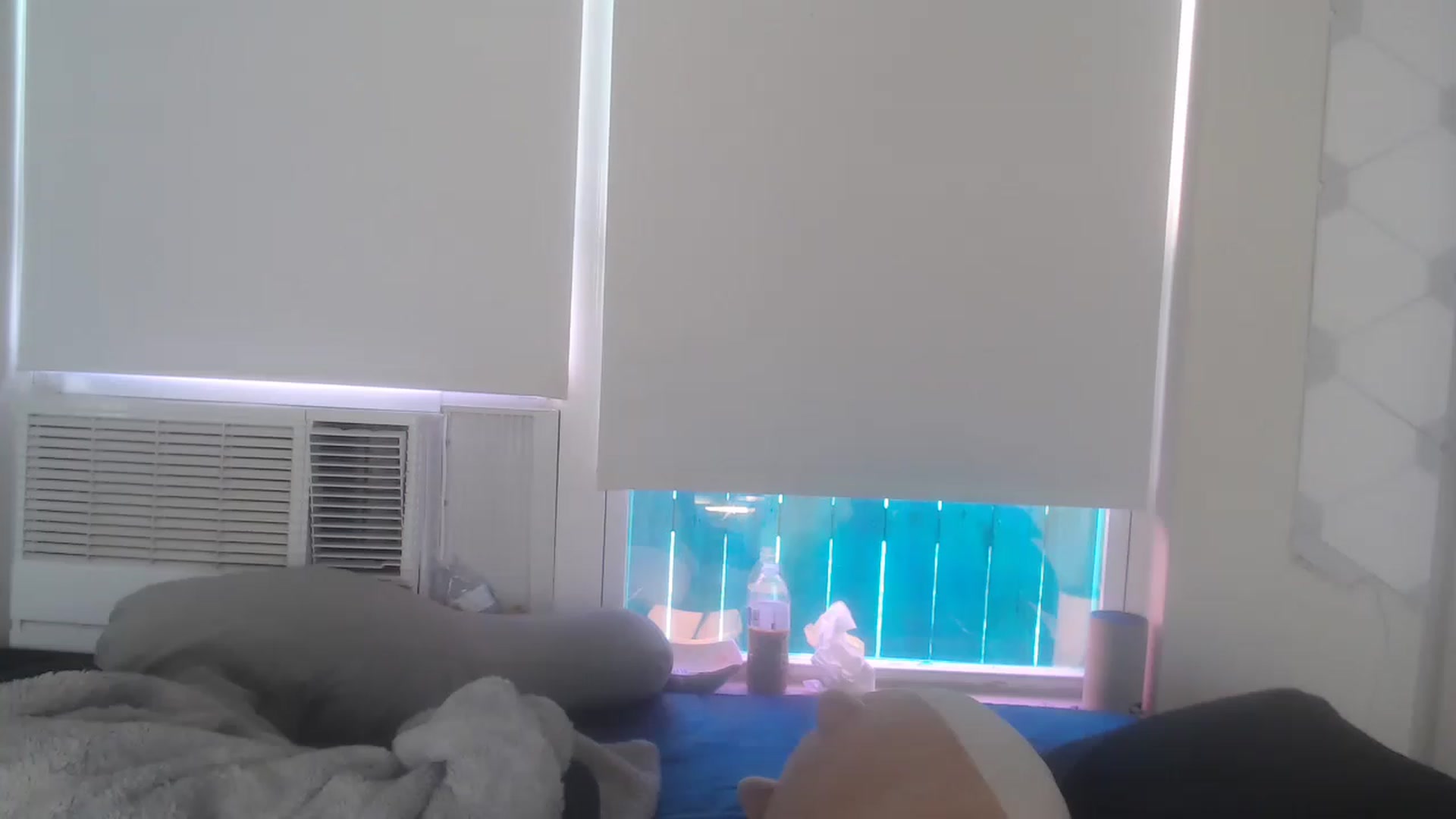 Gallery image thumbnail from LibbyxDoe's myfreecams stream on, 03/21/2023, 16:45 image 10 of 20