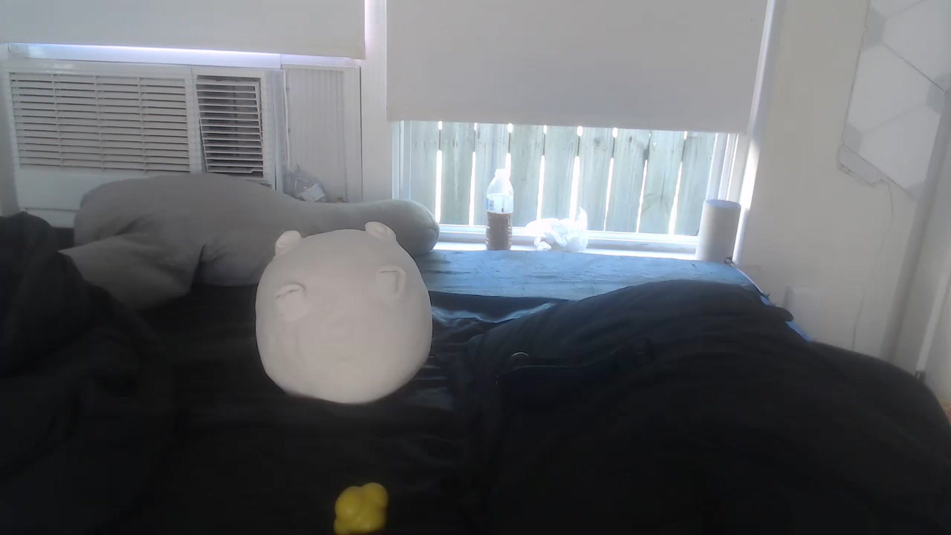 Gallery image thumbnail from LibbyxDoe's myfreecams stream on, 03/21/2023, 16:45 image 19 of 20