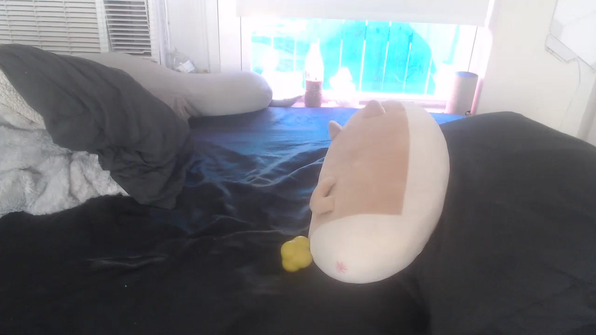 Gallery image thumbnail from LibbyxDoe's myfreecams stream on, 03/21/2023, 16:45 image 6 of 20