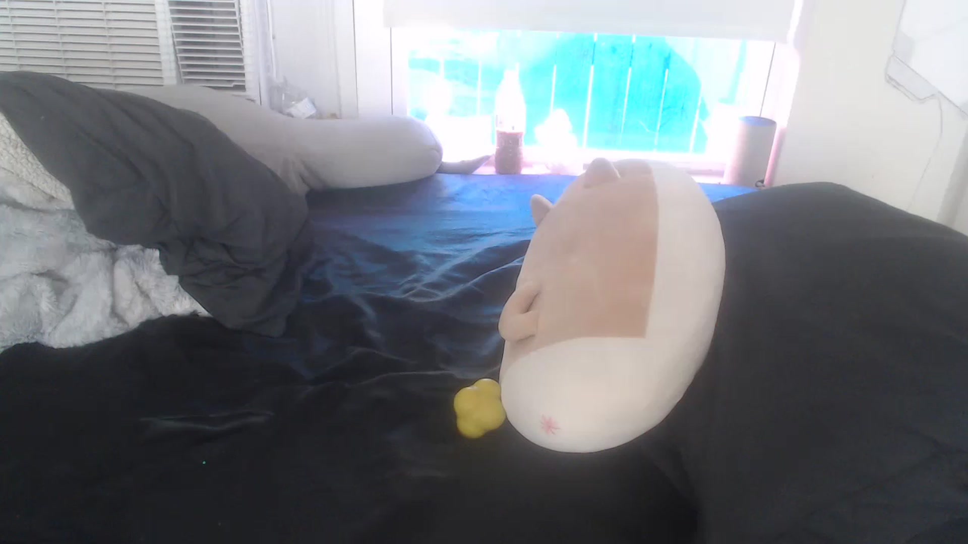 Gallery image thumbnail from LibbyxDoe's myfreecams stream on, 03/21/2023, 16:45 image 7 of 20