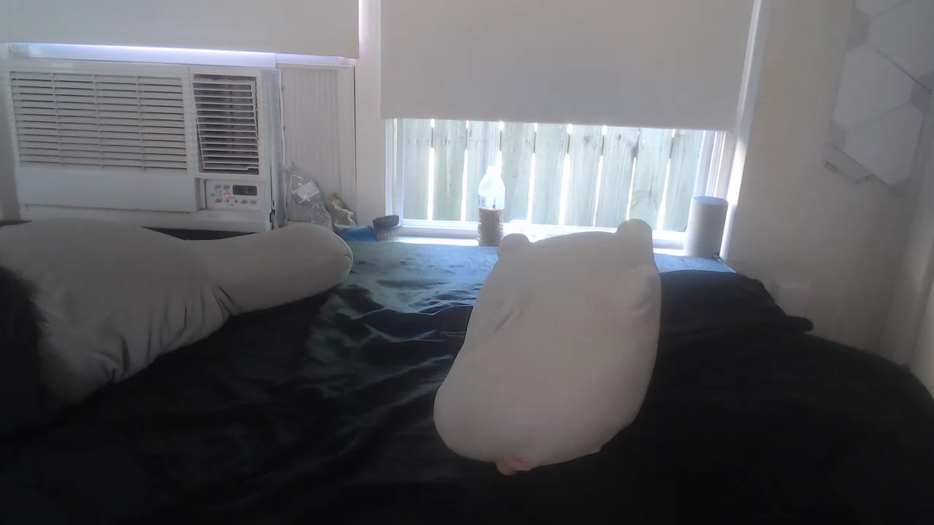 Gallery image thumbnail from LibbyxDoe's myfreecams stream on, 03/21/2023, 18:02 image 10 of 20