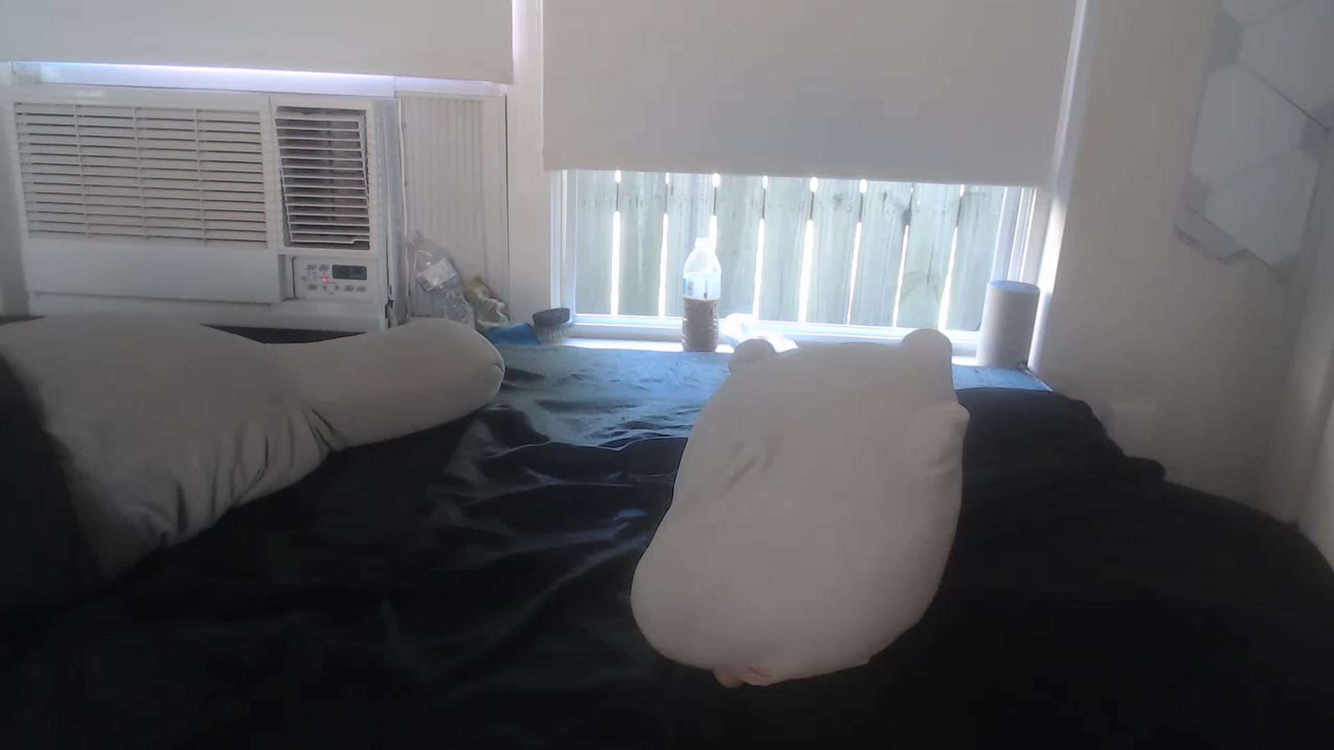Gallery image thumbnail from LibbyxDoe's myfreecams stream on, 03/21/2023, 18:02 image 7 of 20