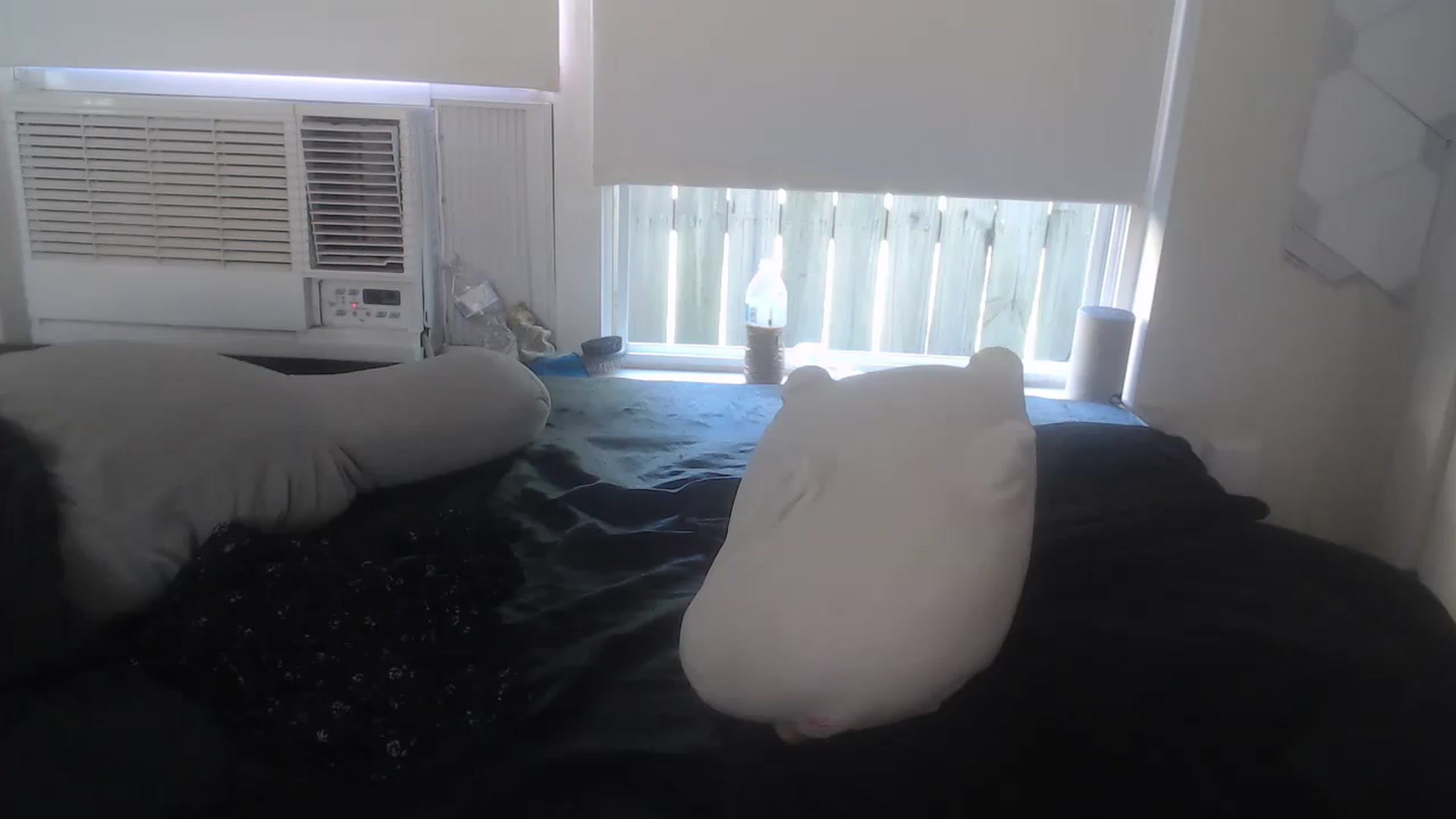Gallery image thumbnail from LibbyxDoe's myfreecams stream on, 03/21/2023, 18:02 image 8 of 20