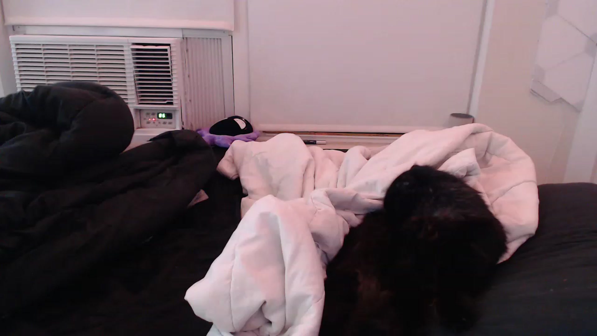 Gallery image thumbnail from LibbyxDoe's myfreecams stream on, 03/30/2023, 07:22 image 5 of 20