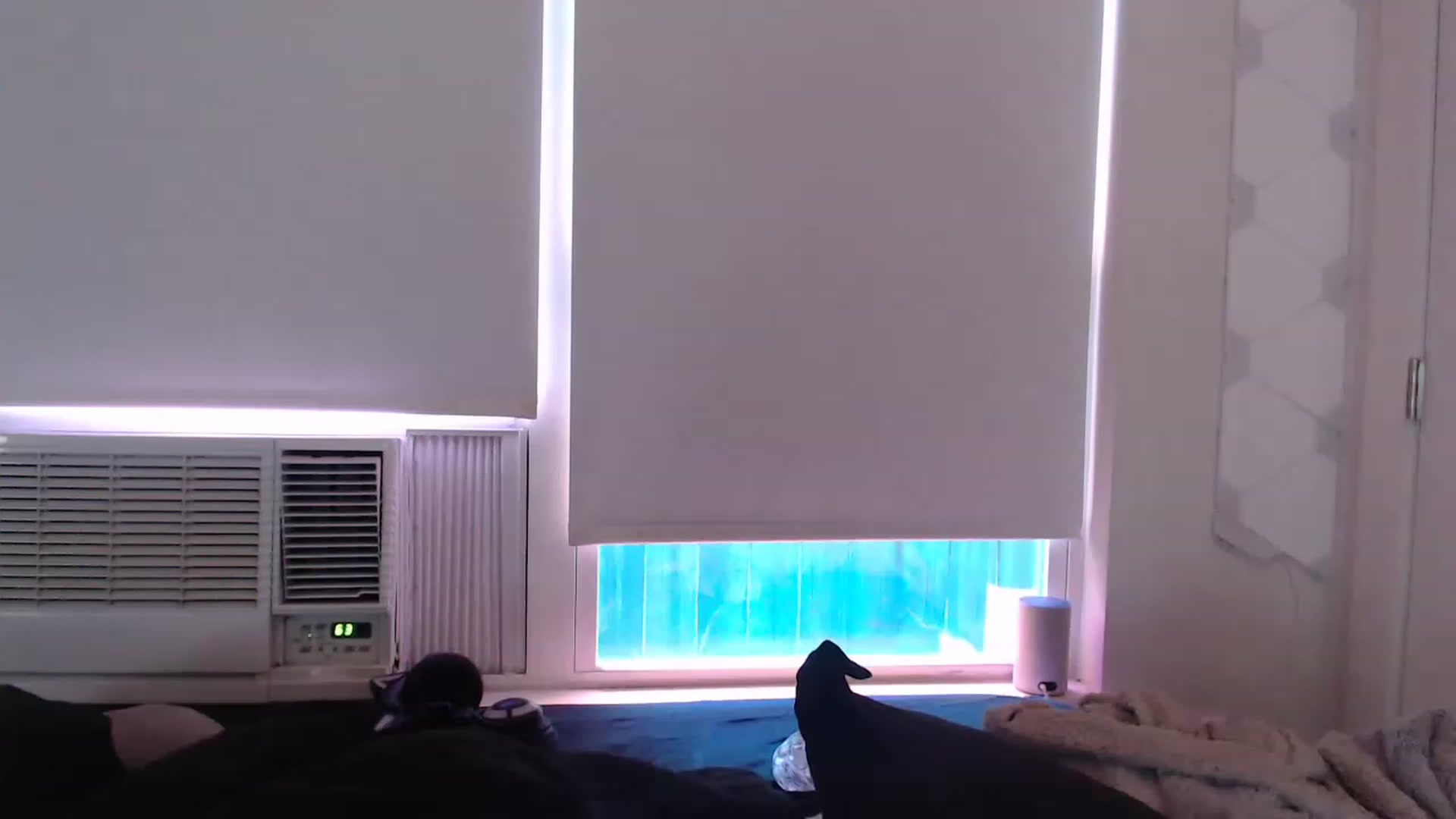 Gallery image thumbnail from LibbyxDoe's myfreecams stream on, 04/21/2023, 16:01 image 9 of 20