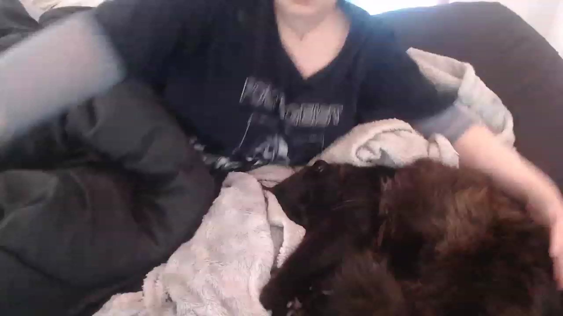 Gallery image thumbnail from LibbyxDoe's myfreecams stream on, 05/13/2023, 16:01 image 19 of 20