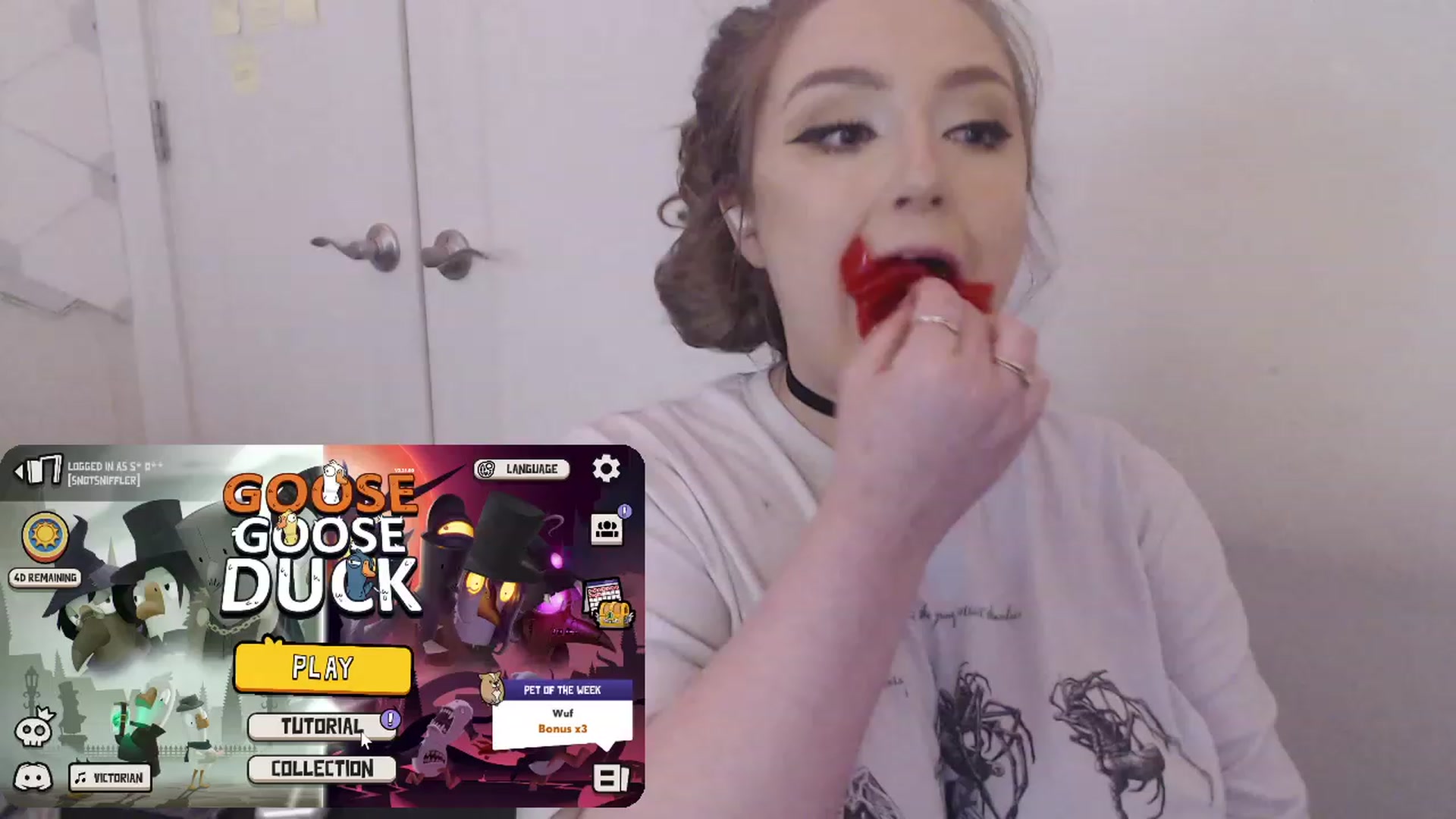 Gallery image thumbnail from LibbyxDoe's myfreecams stream on, 06/26/2023, 08:55 image 15 of 20