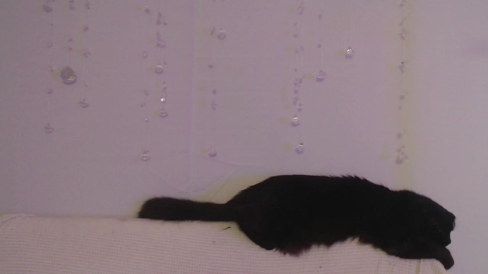 Gallery image thumbnail from LibbyxDoe's myfreecams stream on, 07/04/2023, 10:04 image 11 of 20