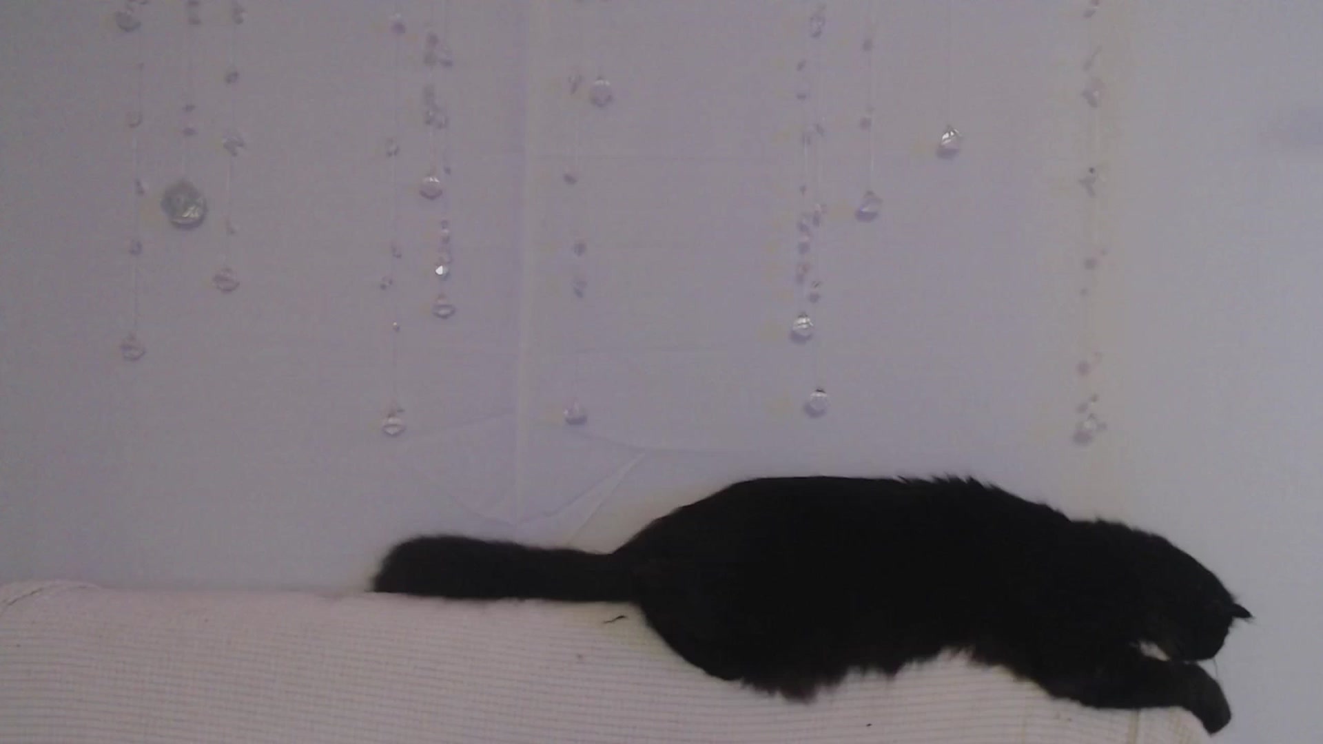 Gallery image thumbnail from LibbyxDoe's myfreecams stream on, 07/04/2023, 10:04 image 13 of 20