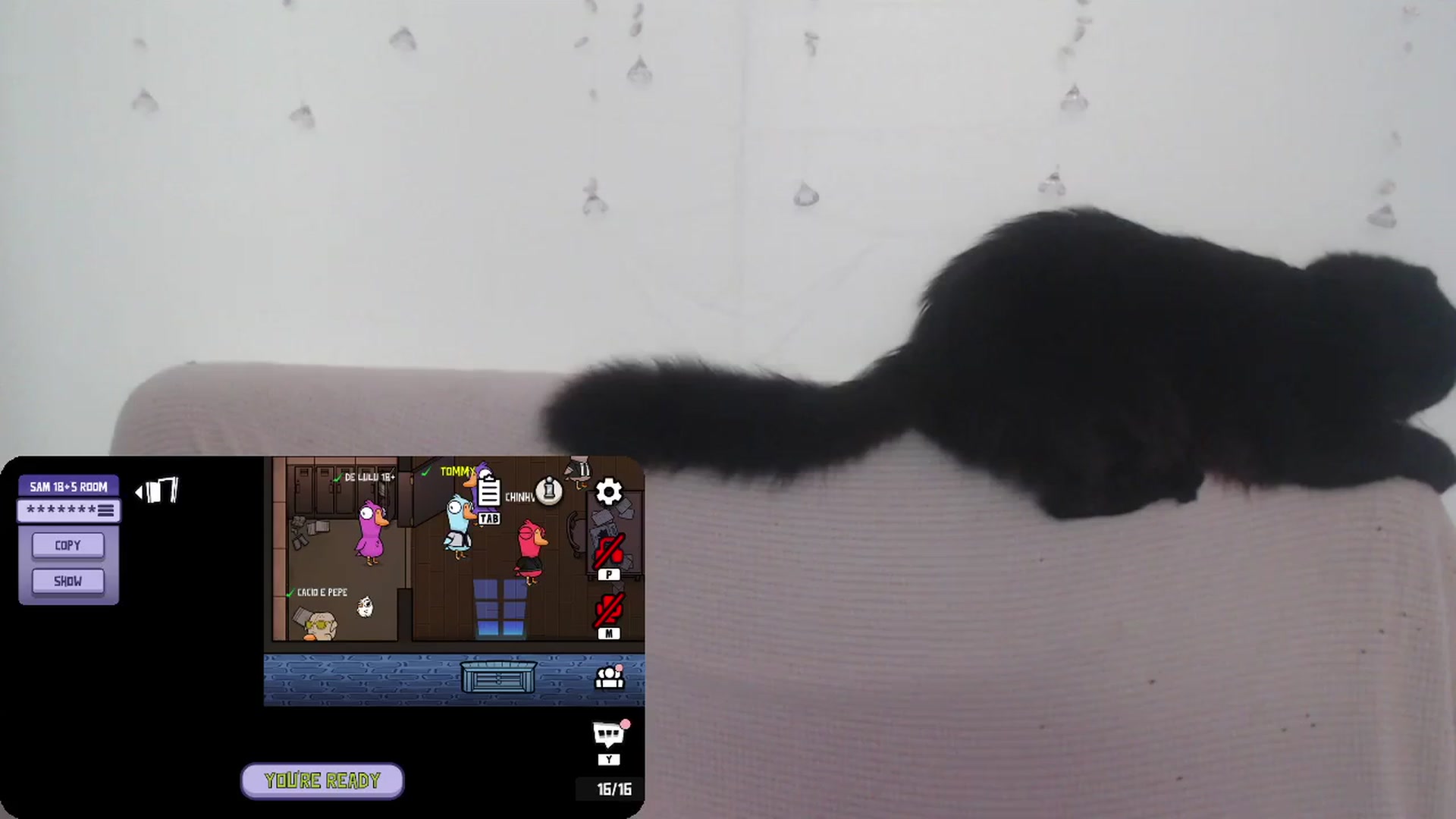 Gallery image thumbnail from LibbyxDoe's myfreecams stream on, 07/23/2023, 11:24 image 20 of 20
