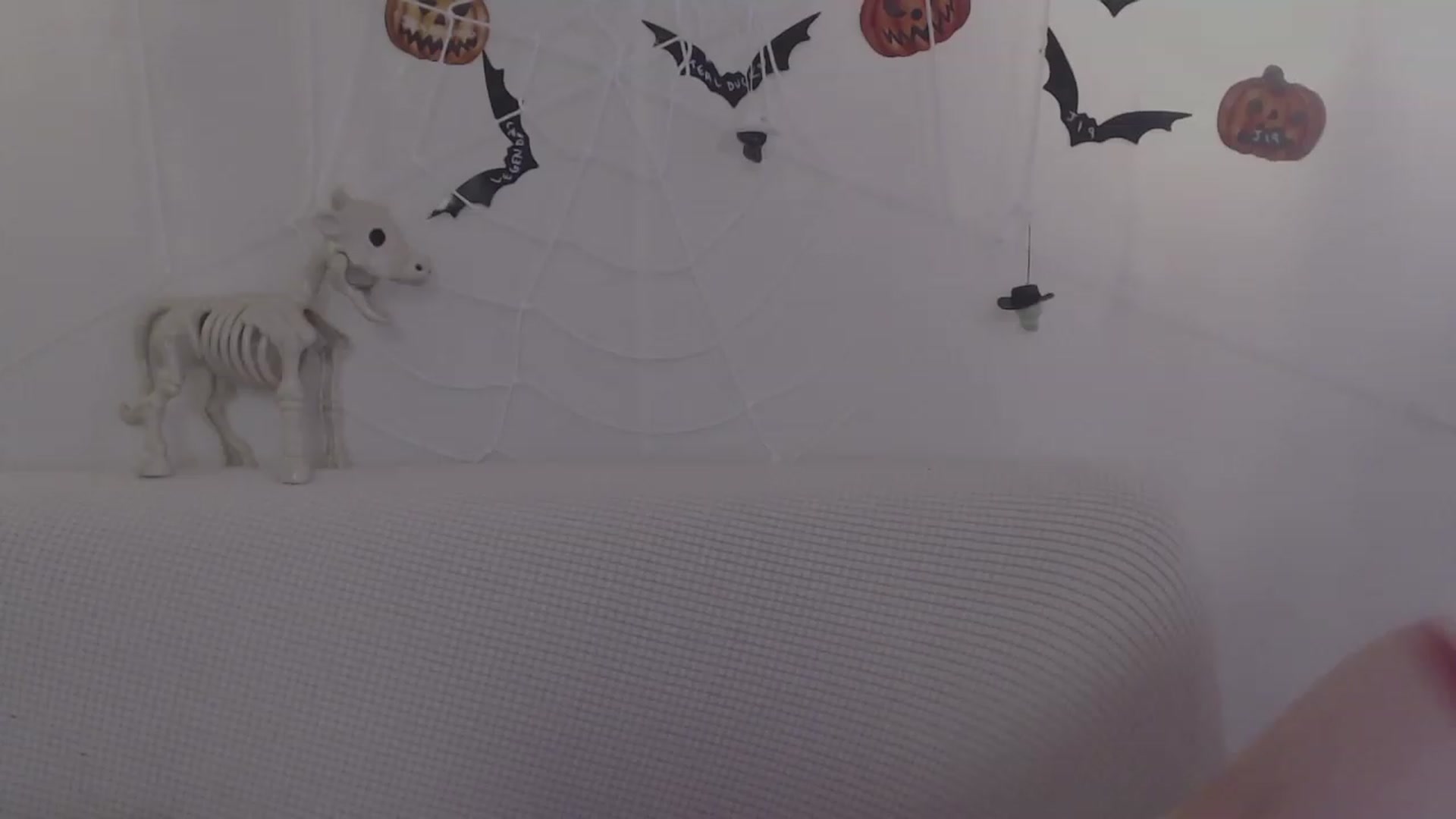Gallery image thumbnail from LibbyxDoe's myfreecams stream on, 10/30/2023, 09:03 image 18 of 20