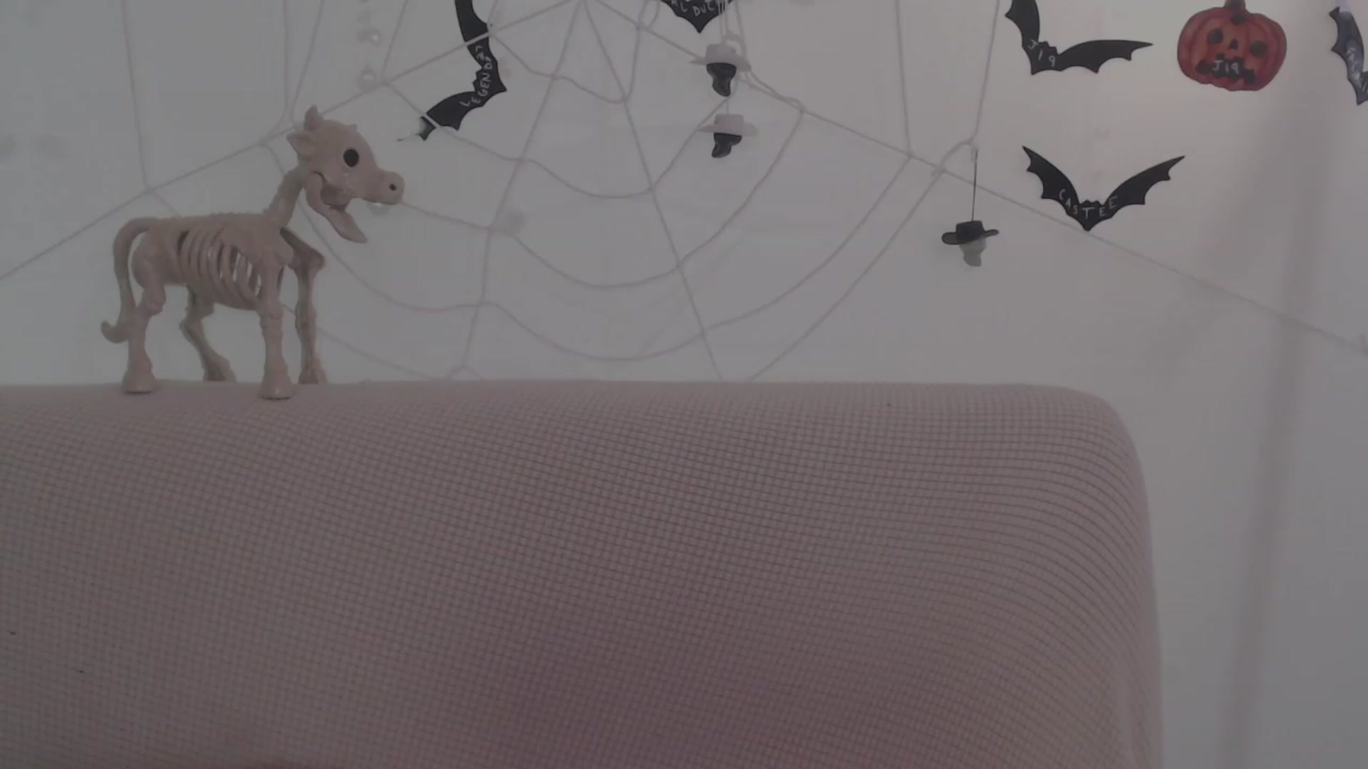 Gallery image thumbnail from LibbyxDoe's myfreecams stream on, 10/31/2023, 10:24 image 15 of 20