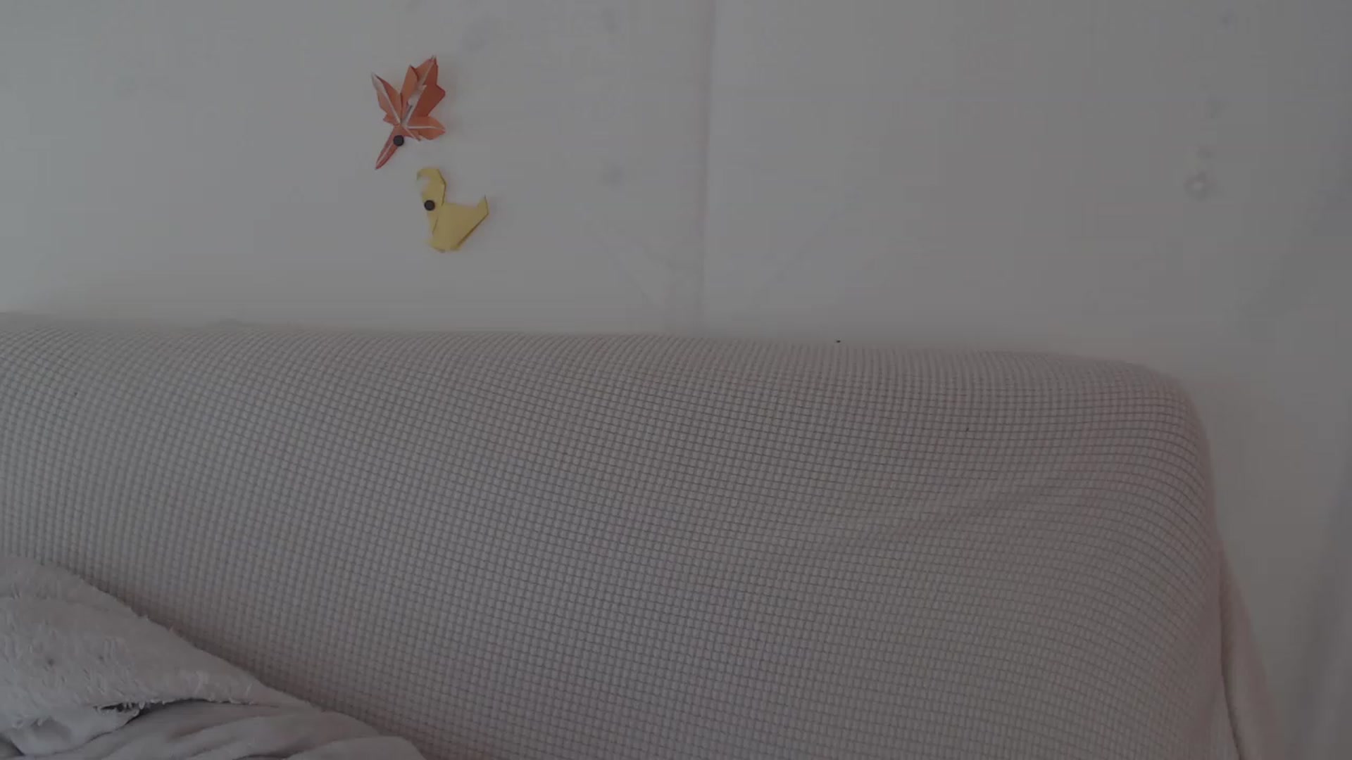 Gallery image thumbnail from LibbyxDoe's myfreecams stream on, 11/22/2023, 17:00 image 1 of 20