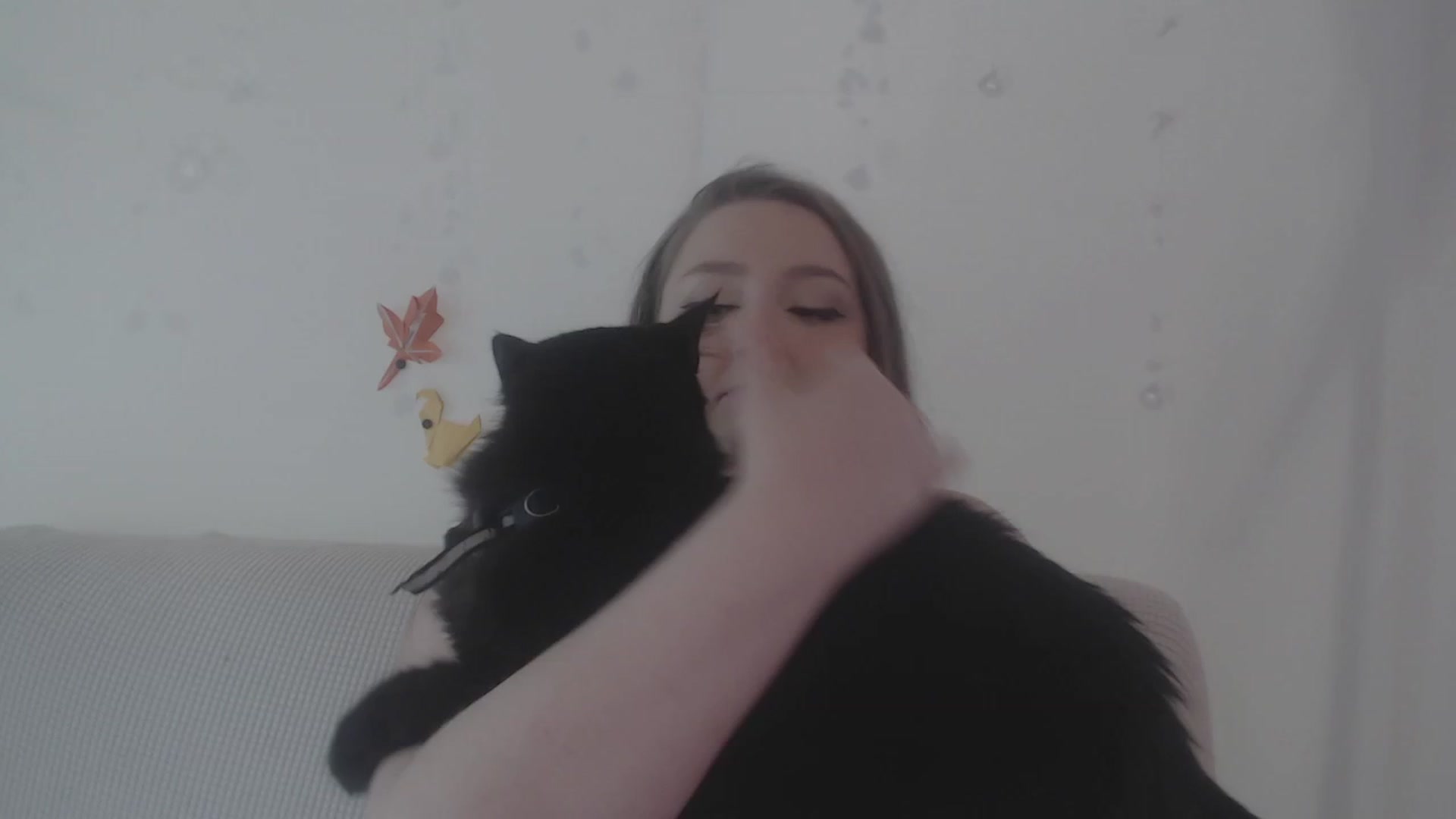 Gallery image thumbnail from LibbyxDoe's myfreecams stream on, 11/25/2023, 14:27 image 13 of 20
