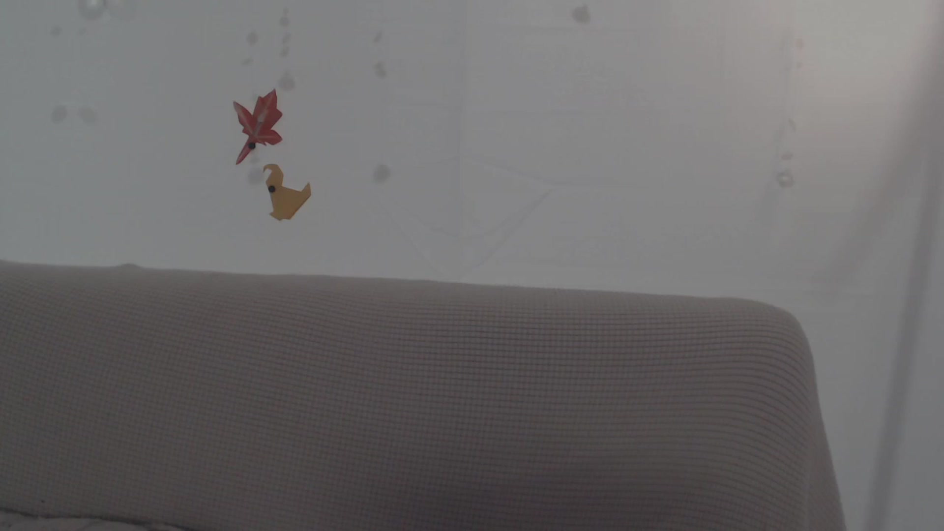 Gallery image thumbnail from LibbyxDoe's myfreecams stream on, 11/27/2023, 08:32 image 1 of 20