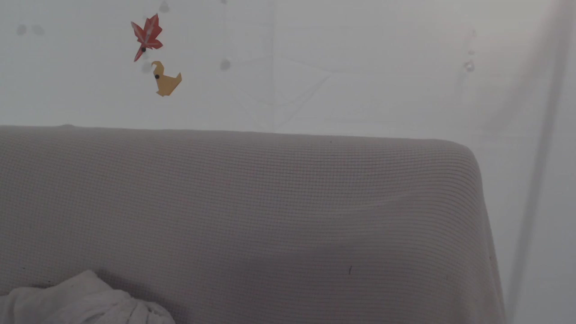 Gallery image thumbnail from LibbyxDoe's myfreecams stream on, 11/27/2023, 08:32 image 16 of 20