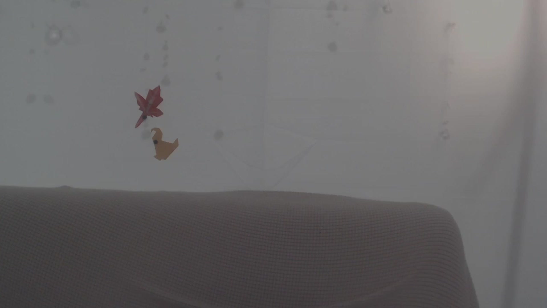 Gallery image thumbnail from LibbyxDoe's myfreecams stream on, 11/27/2023, 10:03 image 17 of 20