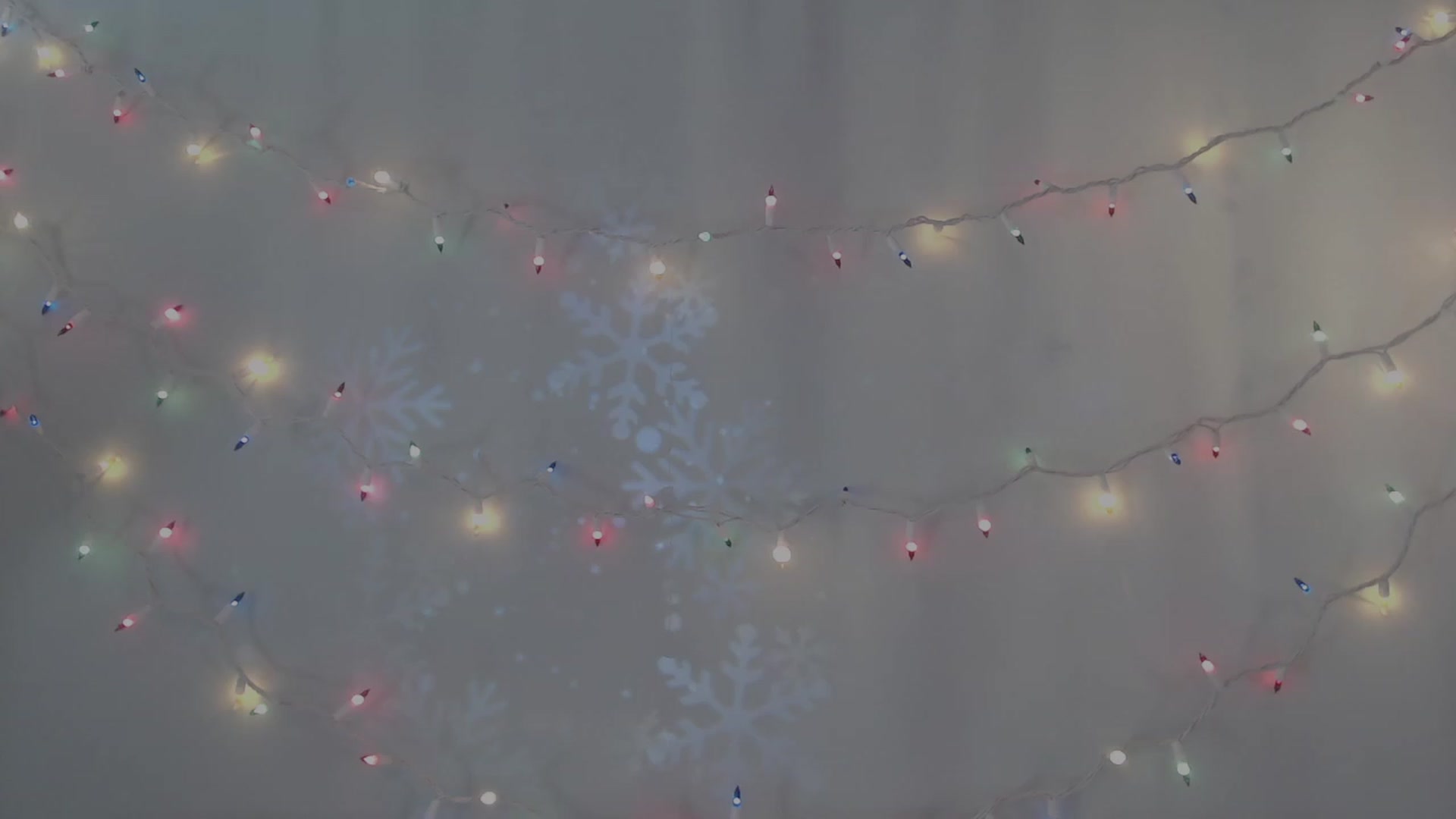 Gallery image thumbnail from LibbyxDoe's myfreecams stream on, 12/13/2023, 18:38 image 17 of 20