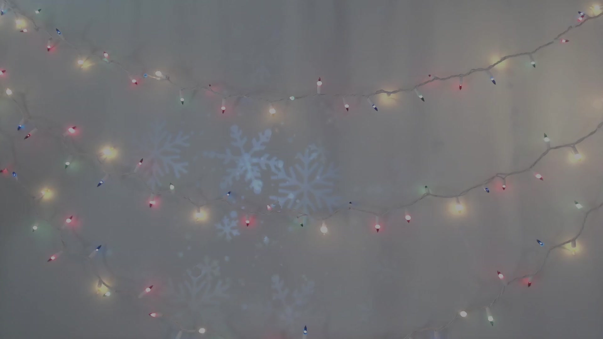 Gallery image thumbnail from LibbyxDoe's myfreecams stream on, 12/13/2023, 18:38 image 18 of 20