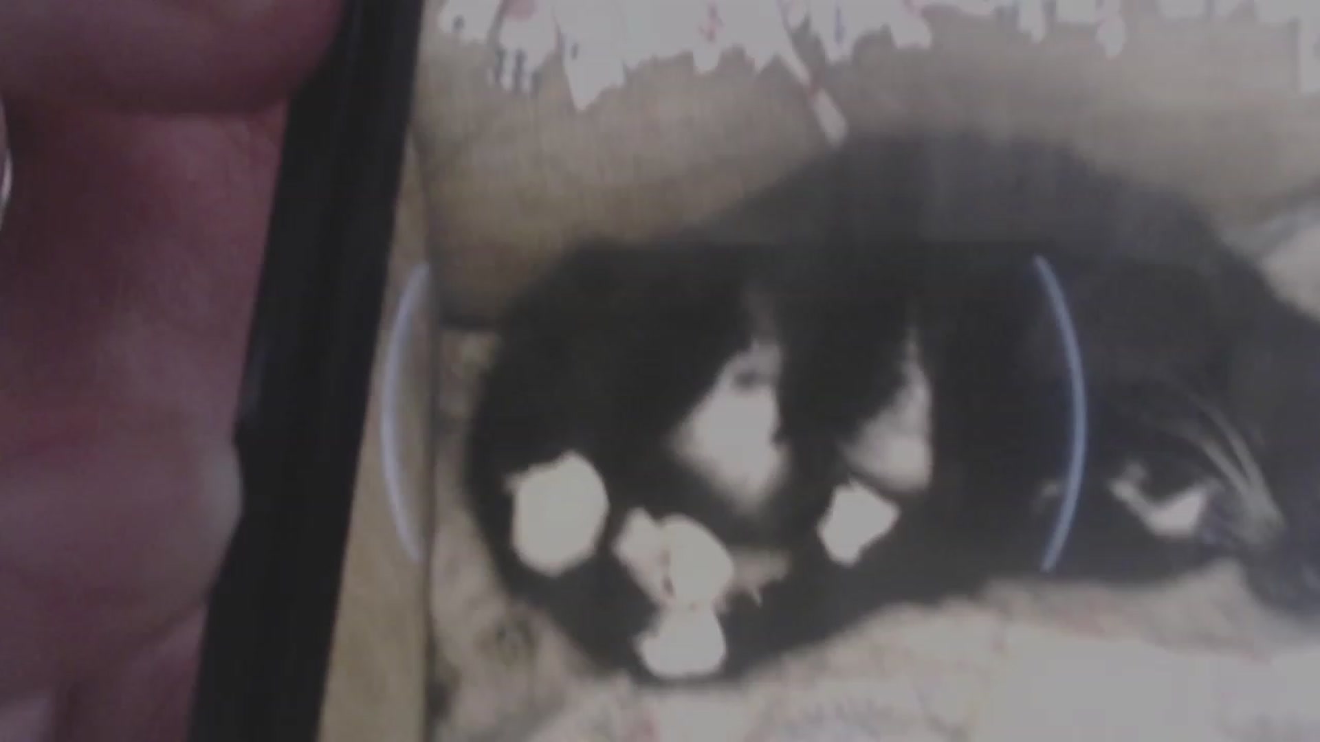 Gallery image thumbnail from LibbyxDoe's myfreecams stream on, 01/09/2024, 05:34 image 20 of 20