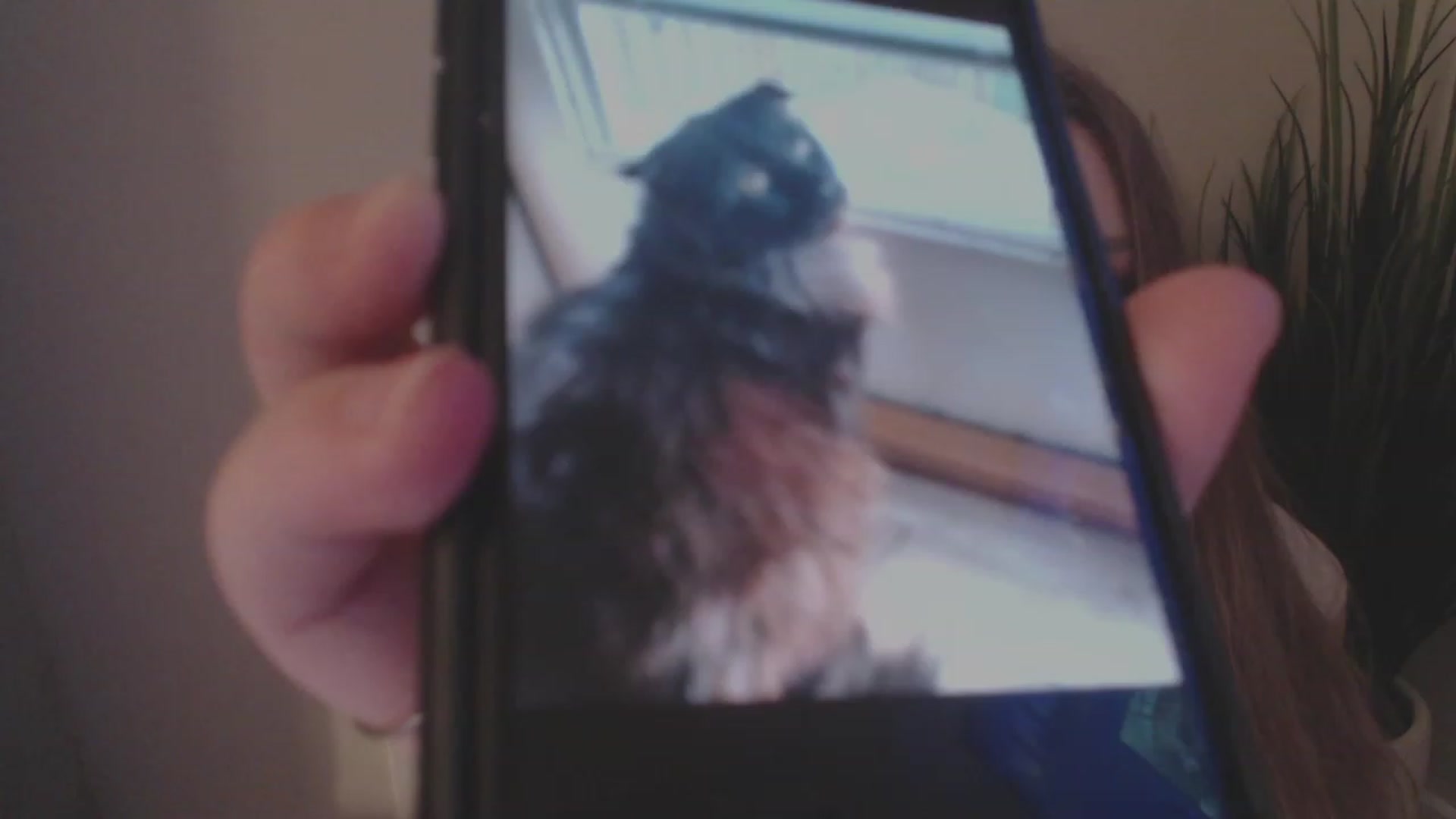 Gallery image thumbnail from LibbyxDoe's myfreecams stream on, 01/24/2024, 01:49 image 19 of 20