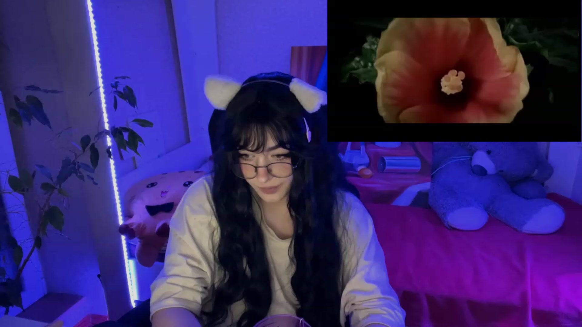 Gallery image thumbnail from Licorice_Alia's myfreecams stream on, 02/15/2023, 03:03 image 12 of 20