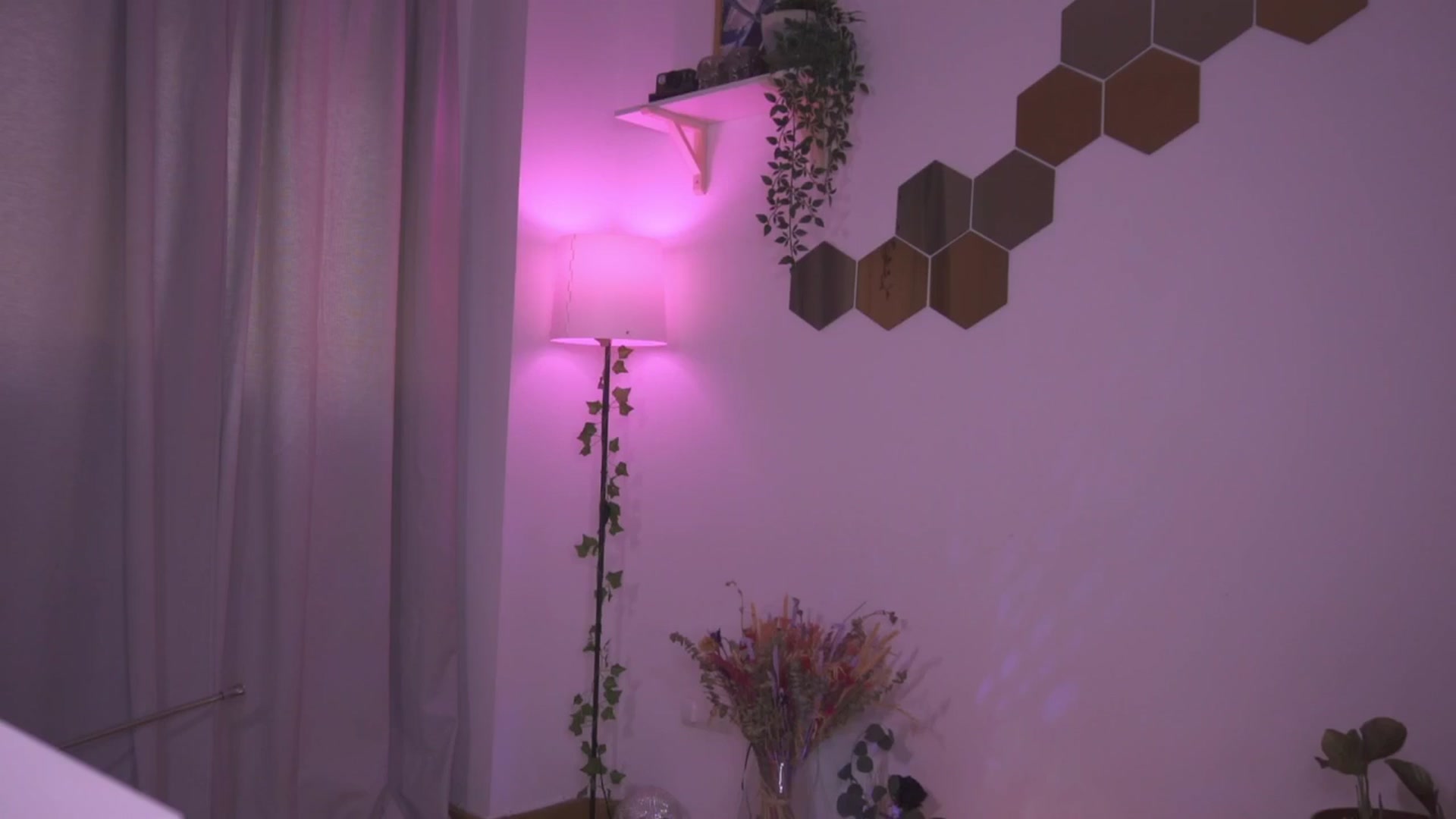 Gallery image thumbnail from Liittlebunny's myfreecams stream on, 03/18/2025, 10:40 image 15 of 20