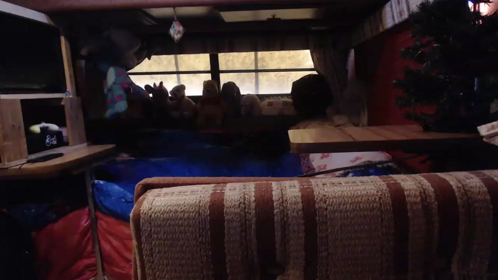 Gallery image thumbnail from LilEmmy1999's myfreecams stream on, 11/23/2022, 21:27 image 16 of 20