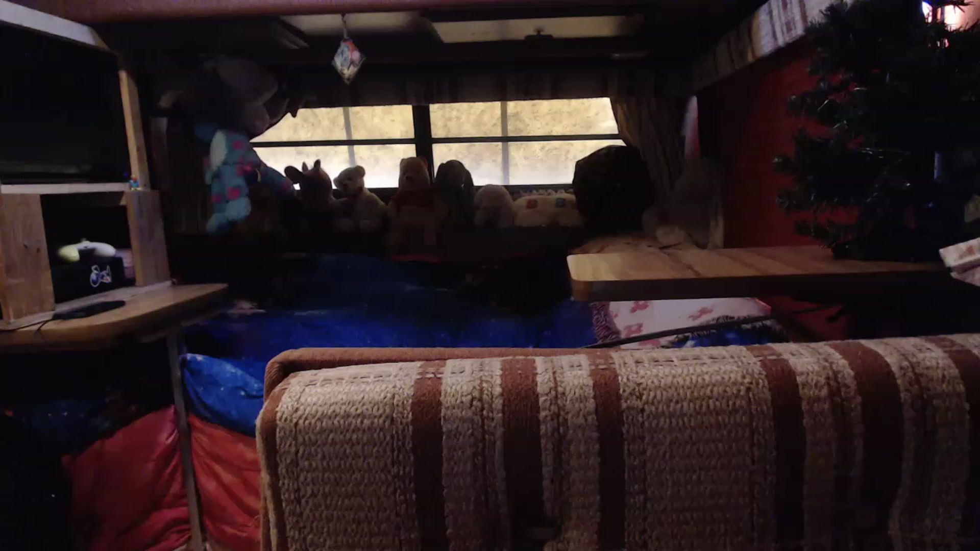Gallery image thumbnail from LilEmmy1999's myfreecams stream on, 11/23/2022, 21:27 image 17 of 20