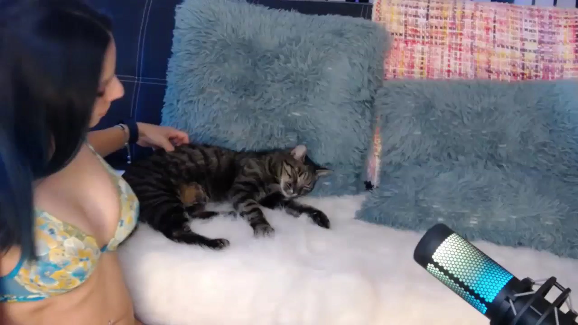 Gallery image thumbnail from LilFitVeve's myfreecams stream on, 12/12/2024, 20:19 image 10 of 20