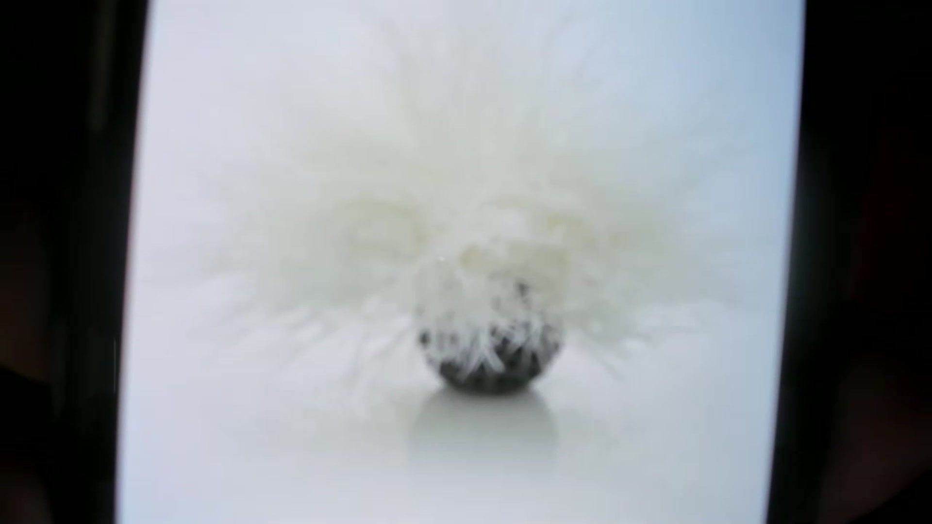 Gallery image thumbnail from LilLadyBird's myfreecams stream on, 02/04/2023, 01:08 image 14 of 20