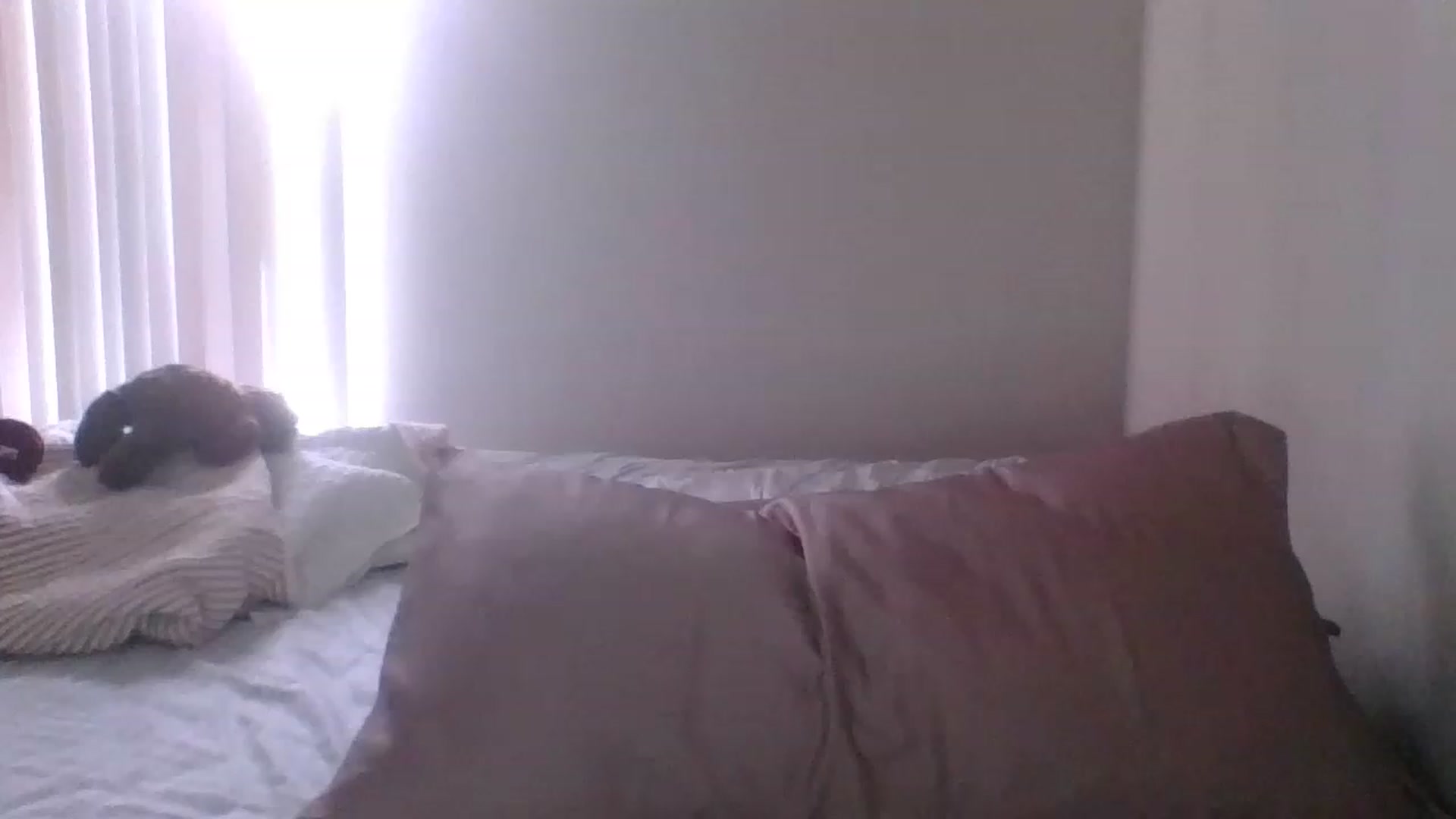 Gallery image thumbnail from LilLolaNymph's myfreecams stream on, 05/24/2023, 17:00 image 13 of 20