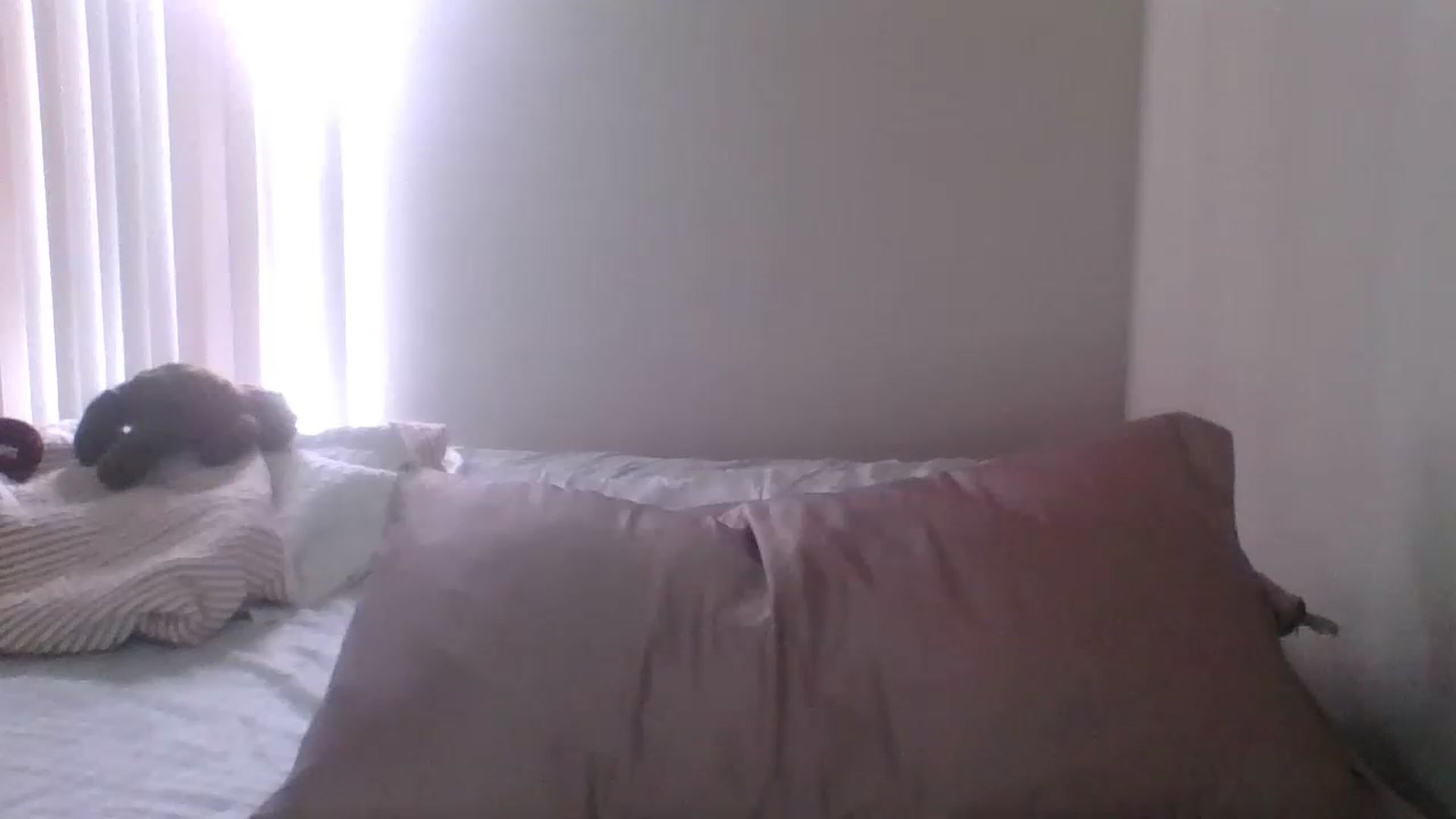 Gallery image thumbnail from LilLolaNymph's myfreecams stream on, 05/24/2023, 17:00 image 7 of 20